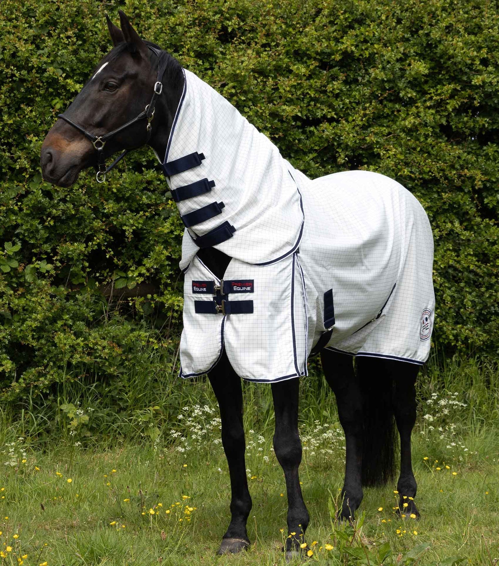 Premier Equine Cotone Combo Stable Sheet - White - Navy Check - Nags Essentials