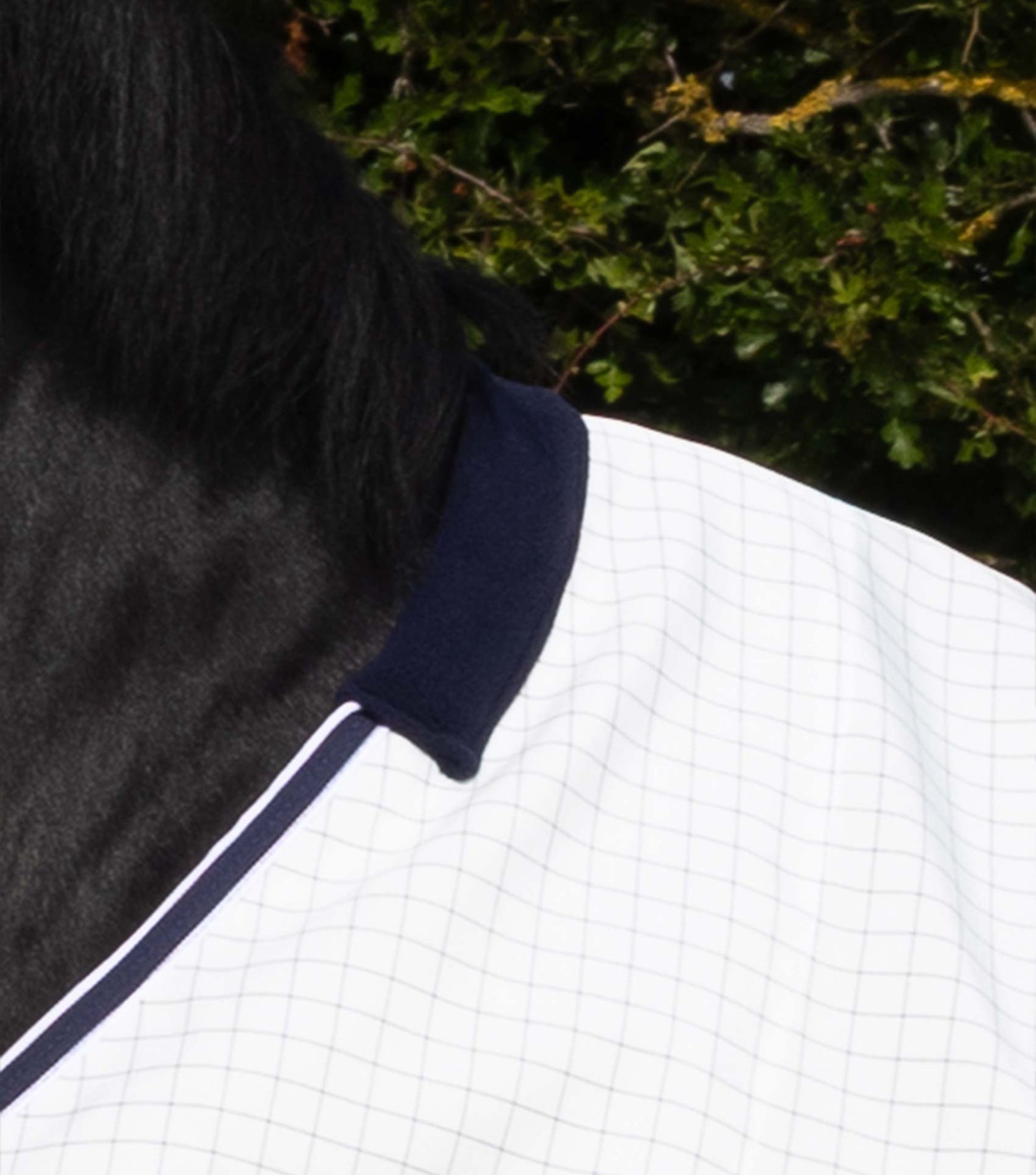 Premier Equine Cotone Original Stable Sheet - White - Navy Check - Nags Essentials