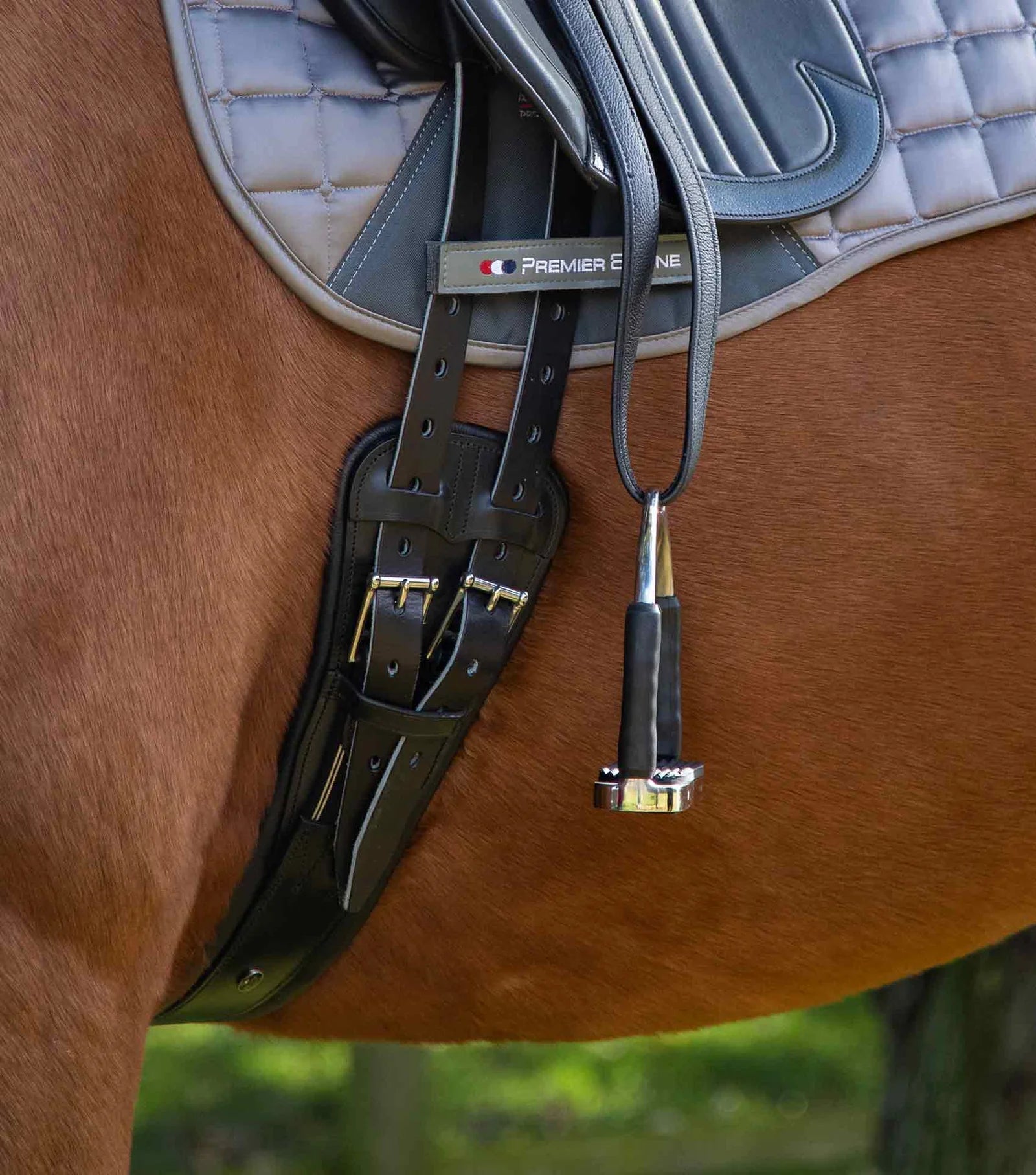 Premier Equine Davoli Leather Girth - Black - Nags Essentials
