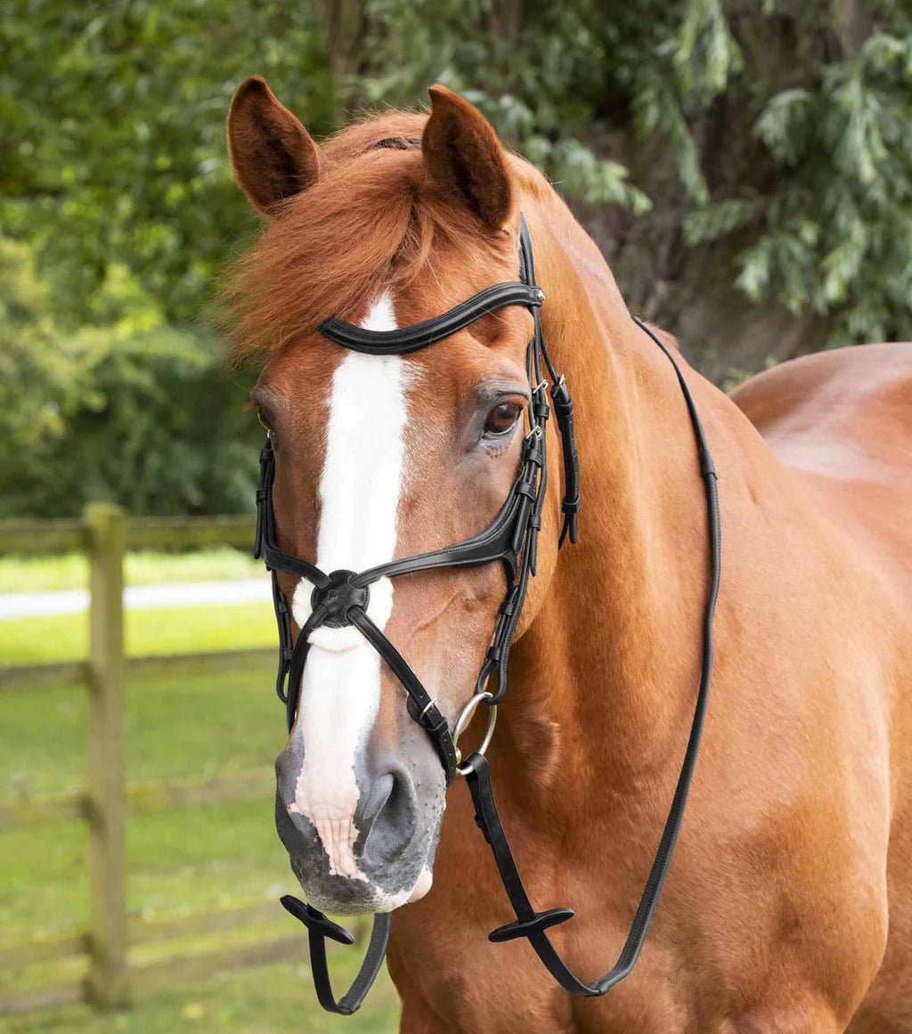 Premier Equine Diego Rubber Reins - Nags Essentials