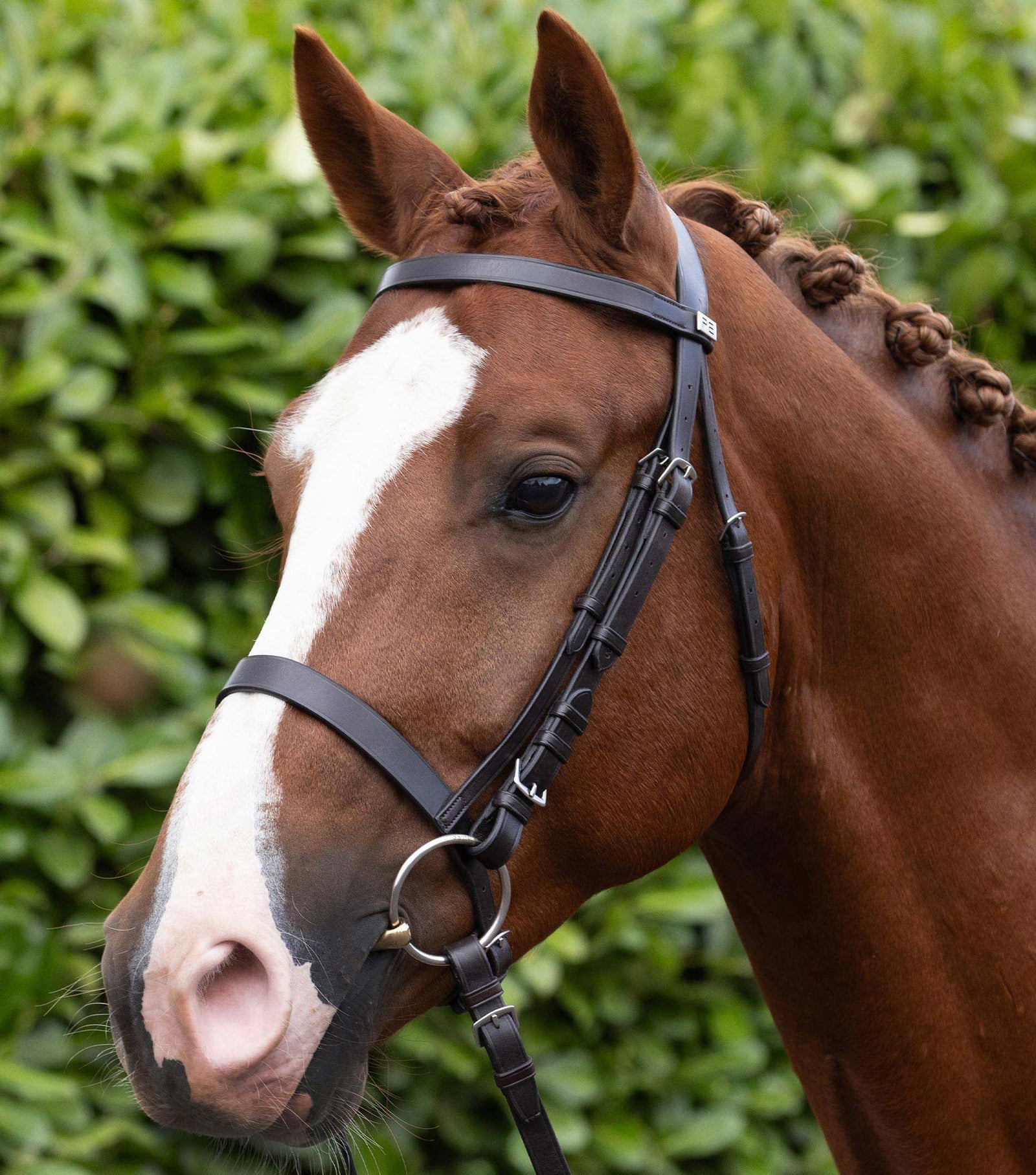 Premier Equine Exercise / Racing Bridle with Plain Caveson Noseband - Nags Essentials