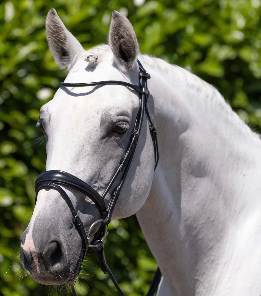 Premier Equine Finetti Rolled Leather Snaffle Bridle - Nags Essentials