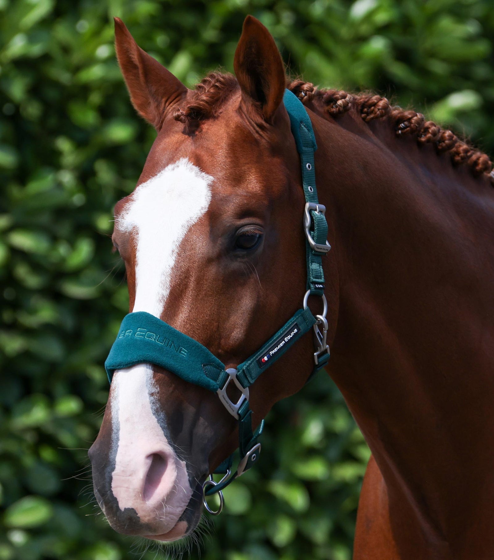 Premier Equine Fleece Padded Head Collar with Lead Rope - Nags Essentials