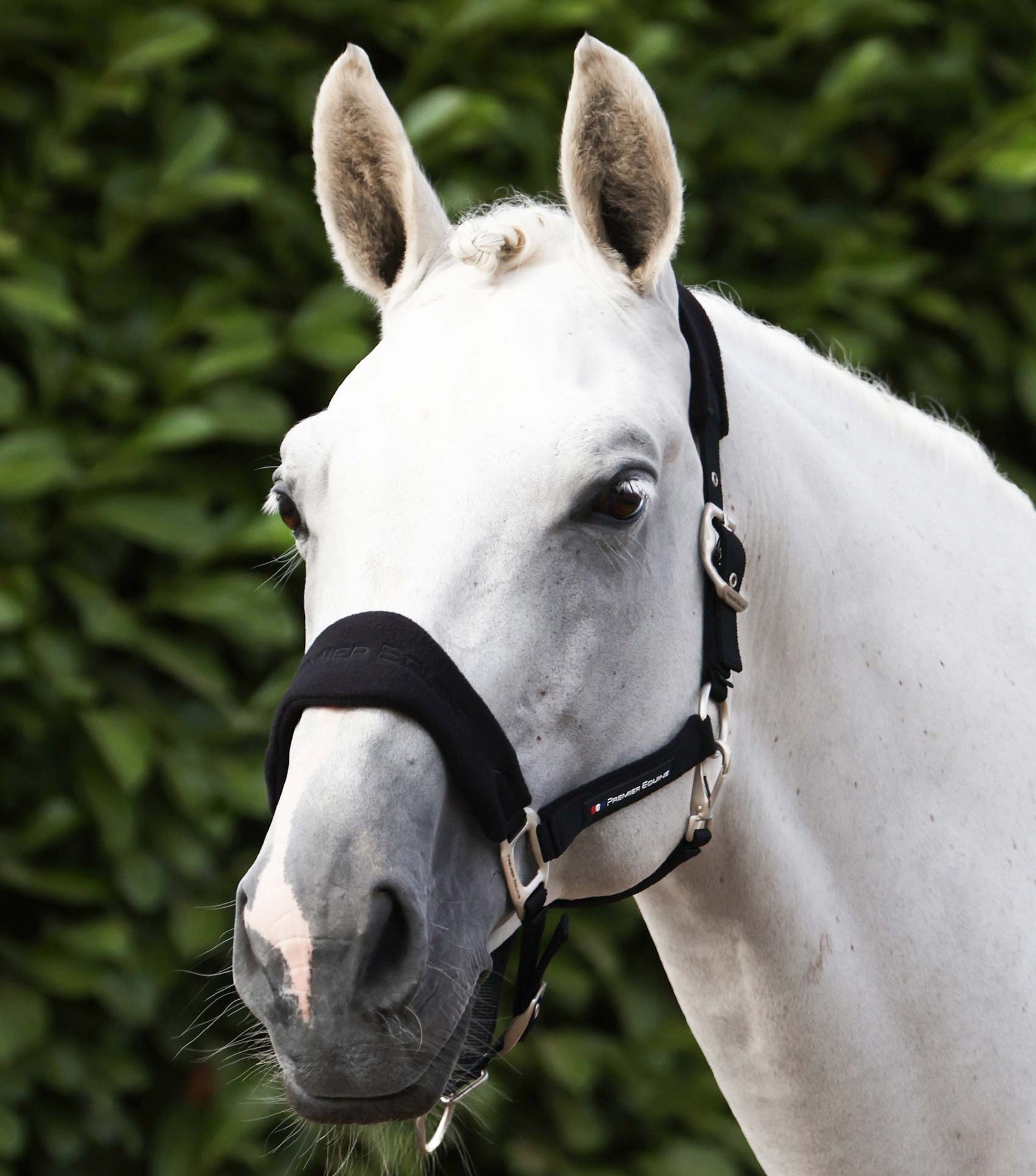 Premier Equine Fleece Padded Head Collar with Lead Rope - Nags Essentials