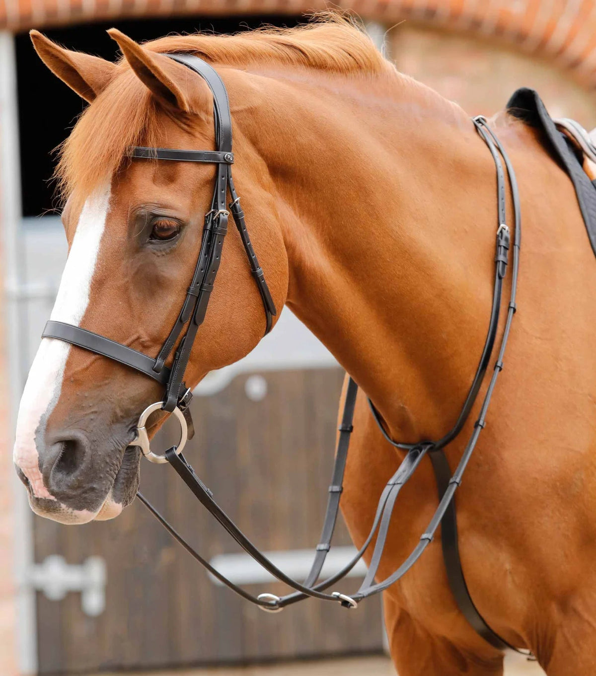 Premier Equine Fuscaldo Running Martingale - Nags Essentials