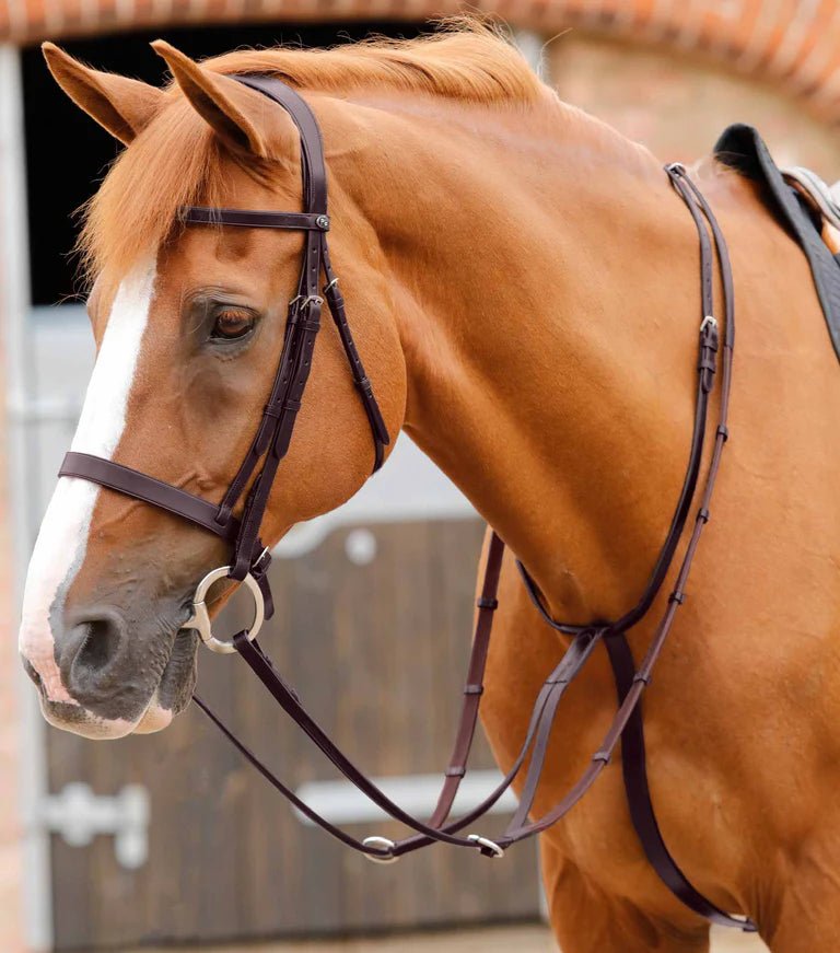 Premier Equine Fuscaldo Running Martingale - Nags Essentials