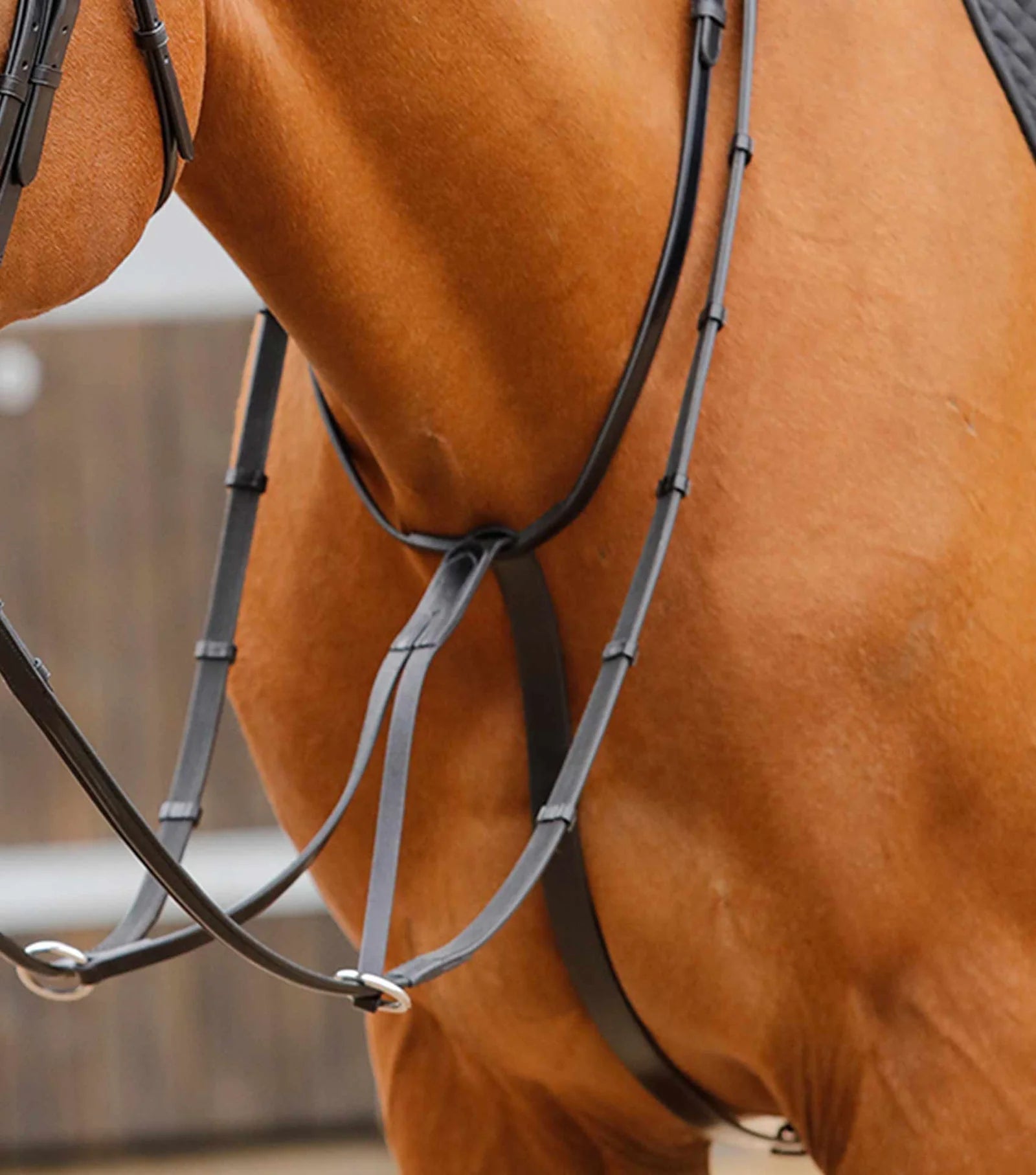 Premier Equine Fuscaldo Running Martingale - Nags Essentials