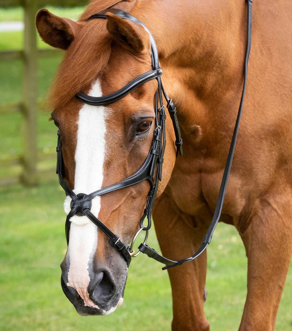 Premier Equine Glorioso Grackle Bridle Black - Nags Essentials