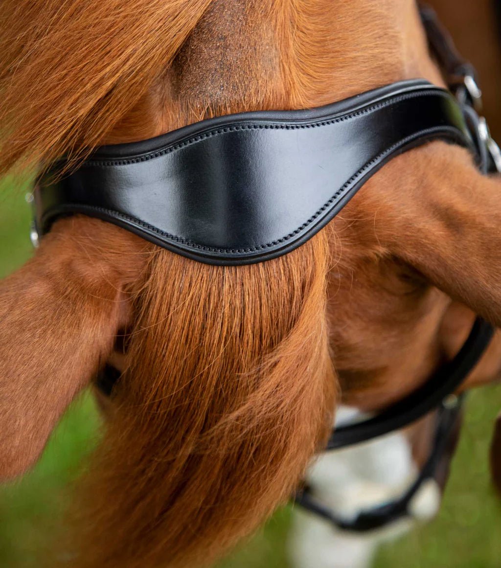 Premier Equine Glorioso Grackle Bridle Black - Nags Essentials