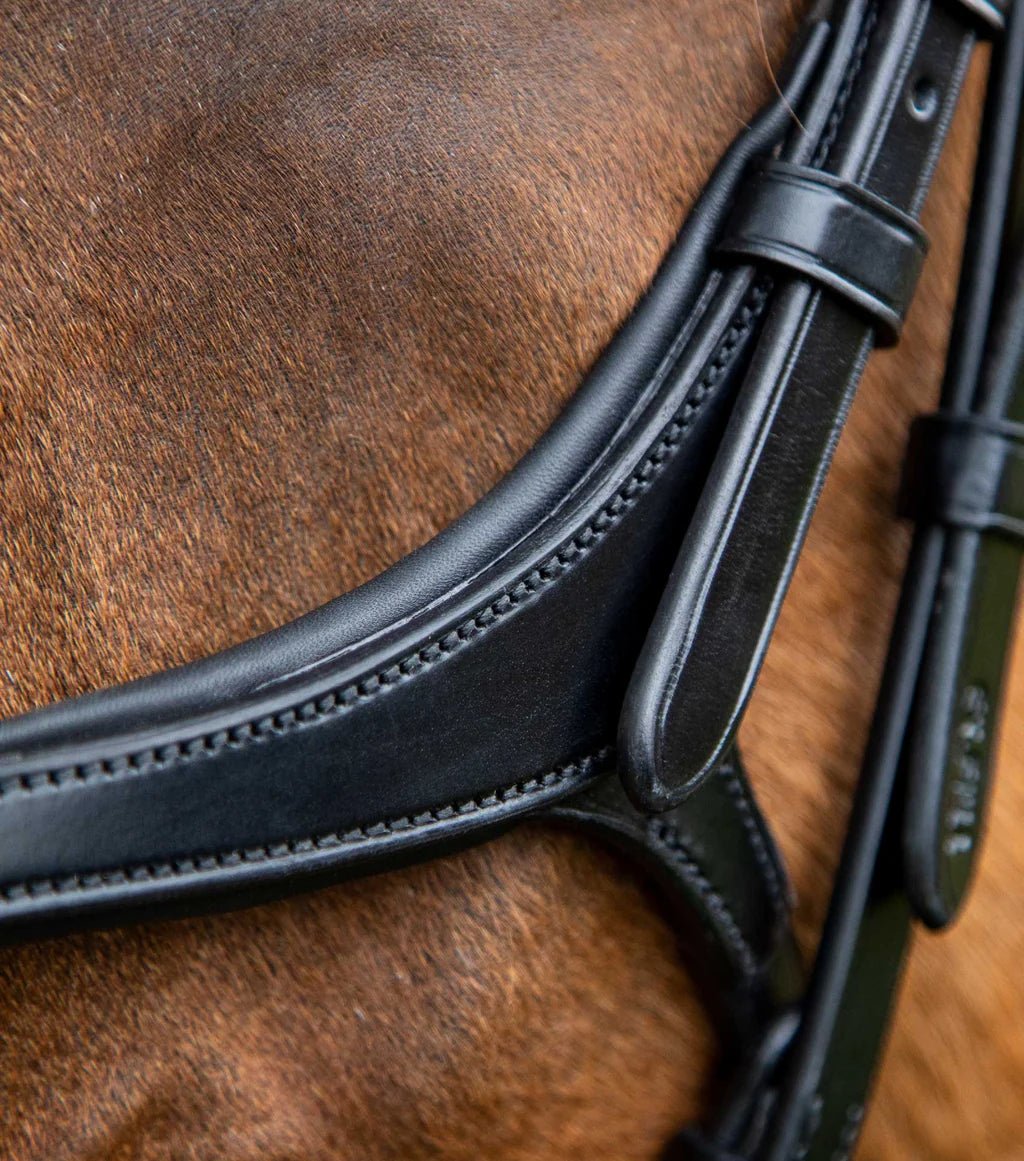 Premier Equine Glorioso Grackle Bridle Black - Nags Essentials