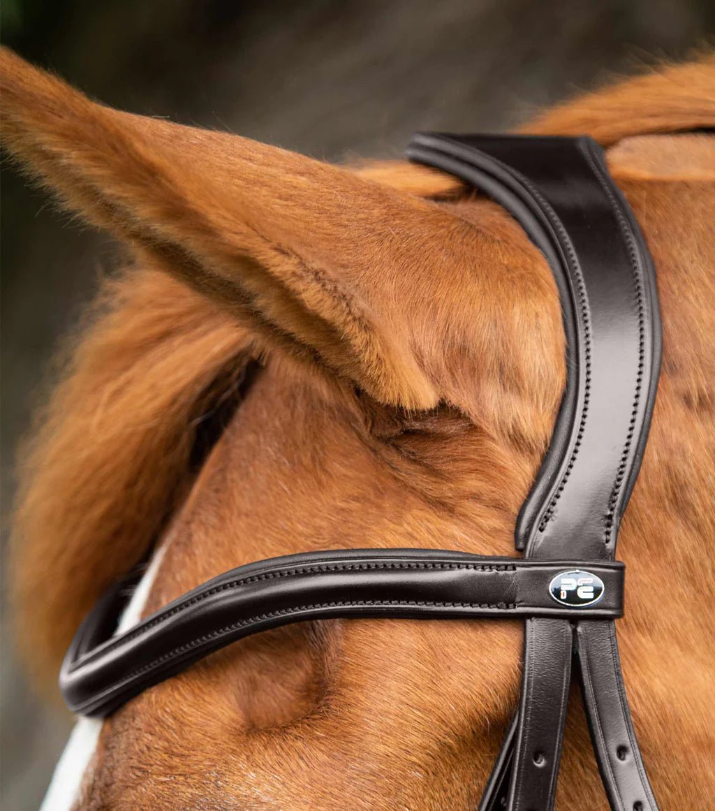 Premier Equine Glorioso Grackle Bridle Black - Nags Essentials