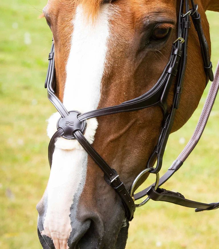 Premier Equine Glorioso Mexican Grackle Noseband - Nags Essentials