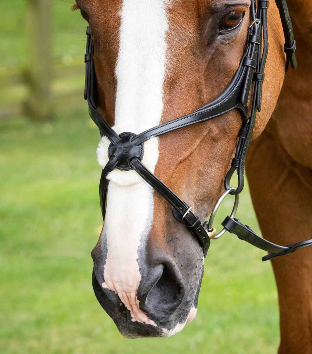 Premier Equine Glorioso Mexican Grackle Noseband - Nags Essentials