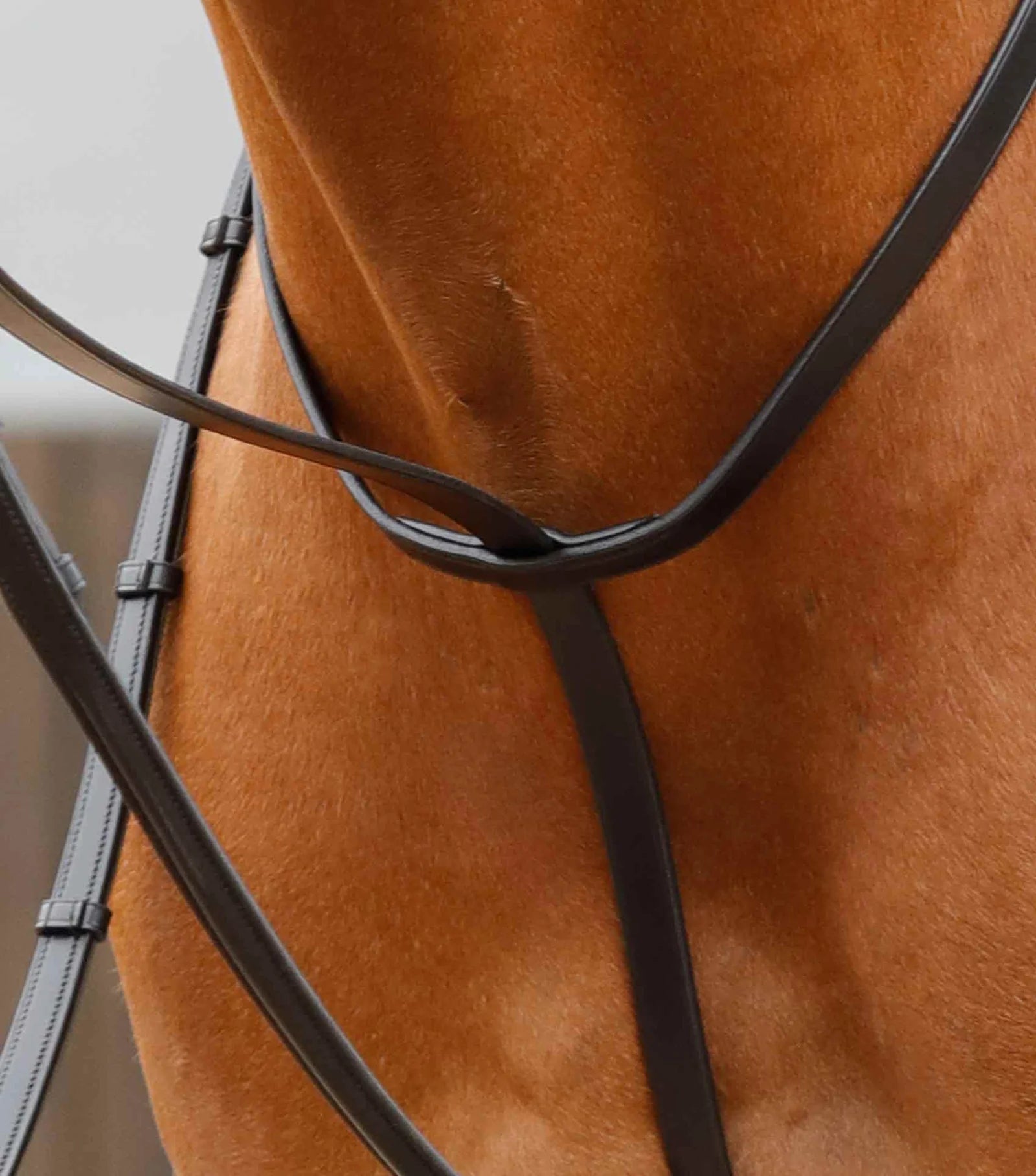 Premier Equine Gressan Standing Martingale - Nags Essentials