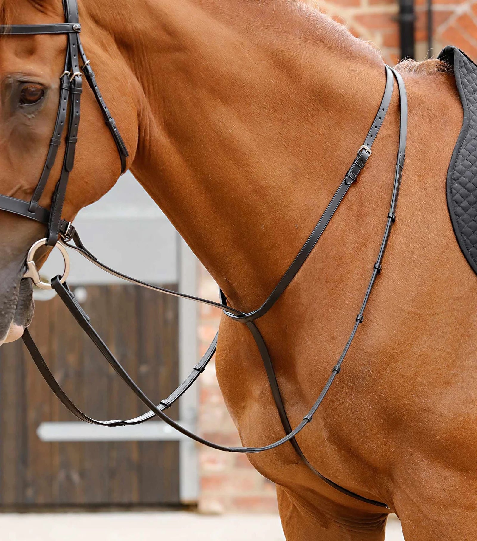 Premier Equine Gressan Standing Martingale - Nags Essentials