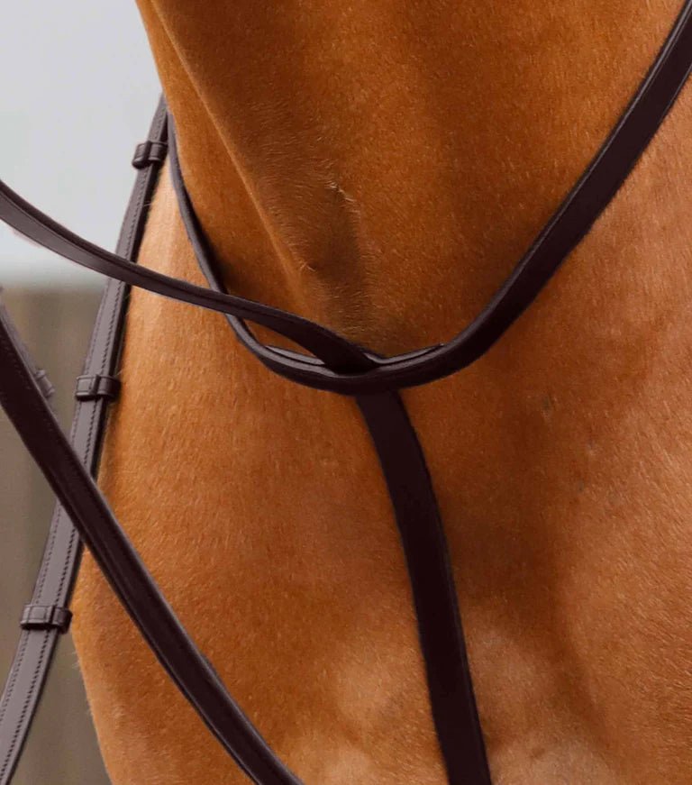 Premier Equine Gressan Standing Martingale - Nags Essentials