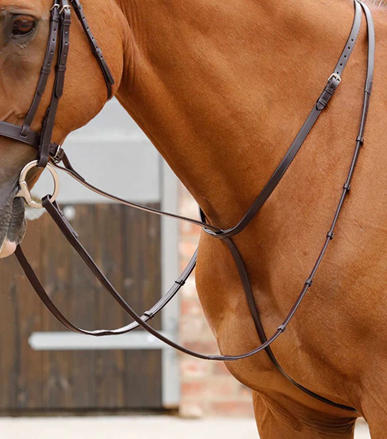 Premier Equine Gressan Standing Martingale - Nags Essentials