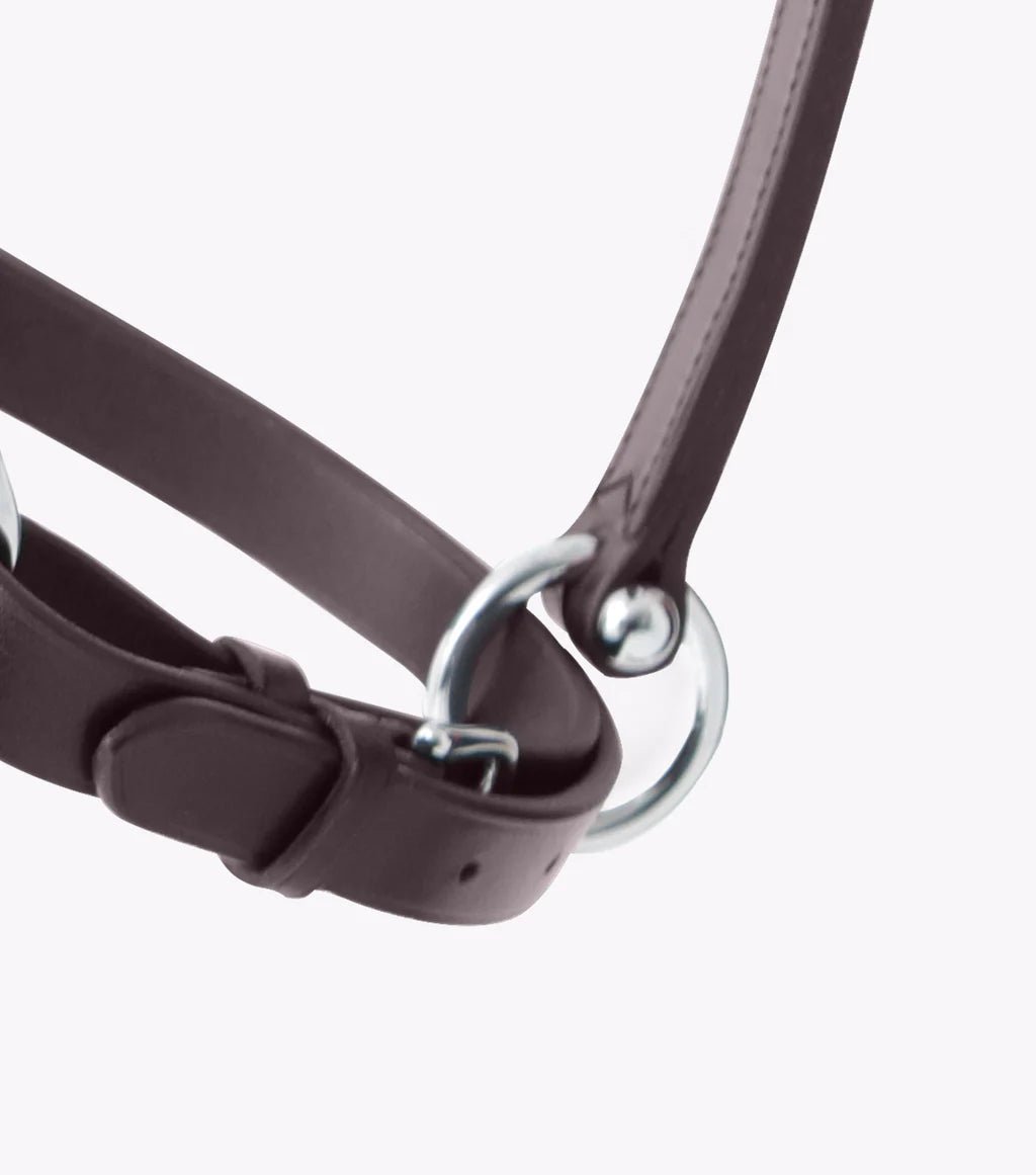 Premier Equine Hennaroso Rolled Anatomic Leather Head Collar - Nags Essentials