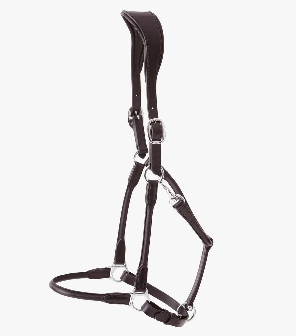 Premier Equine Hennaroso Rolled Anatomic Leather Head Collar - Nags Essentials