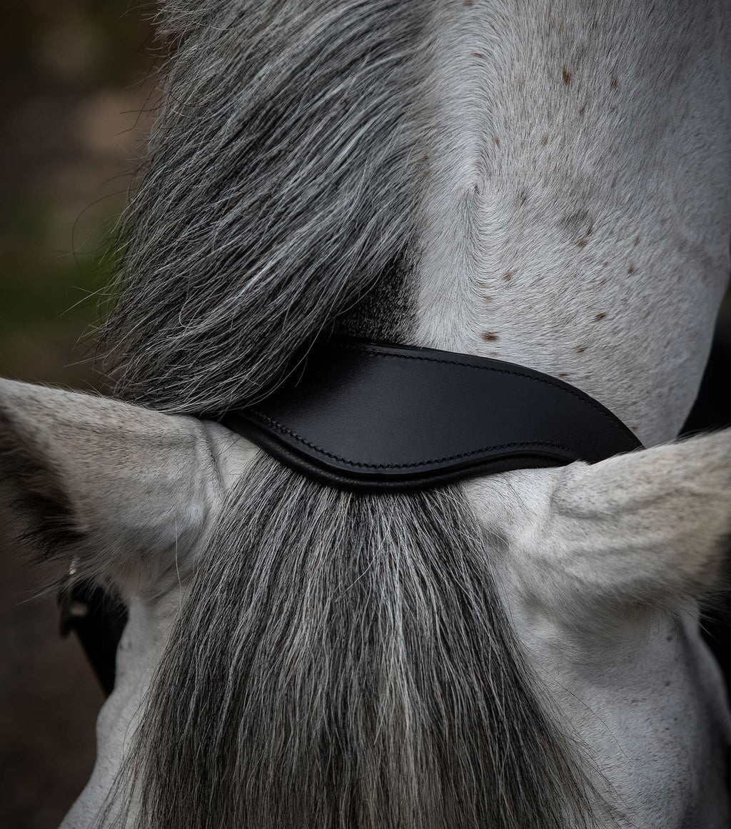 Premier Equine Hennaroso Rolled Anatomic Leather Head Collar - Nags Essentials