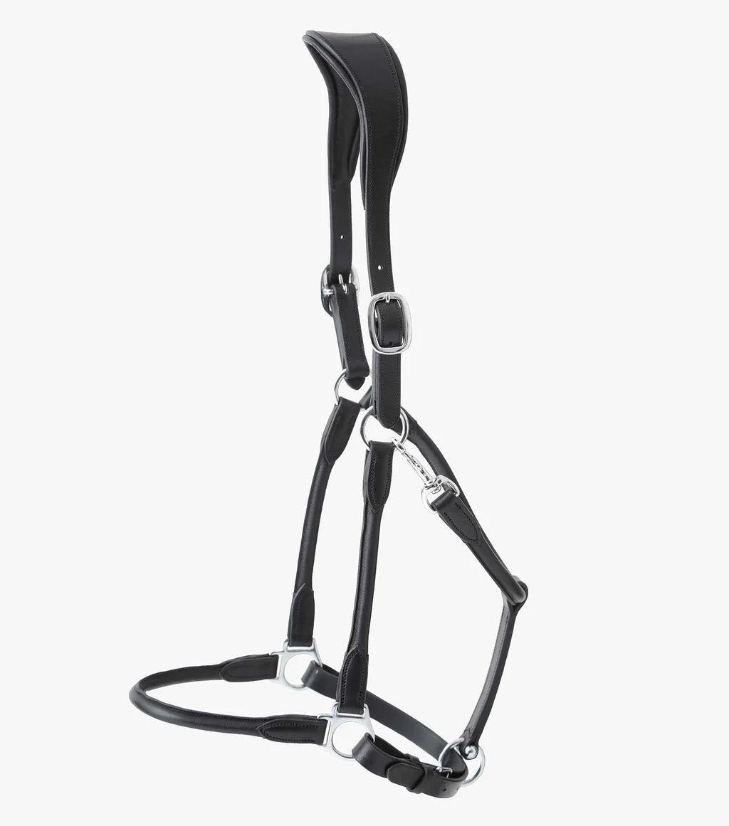 Premier Equine Hennaroso Rolled Anatomic Leather Head Collar - Nags Essentials