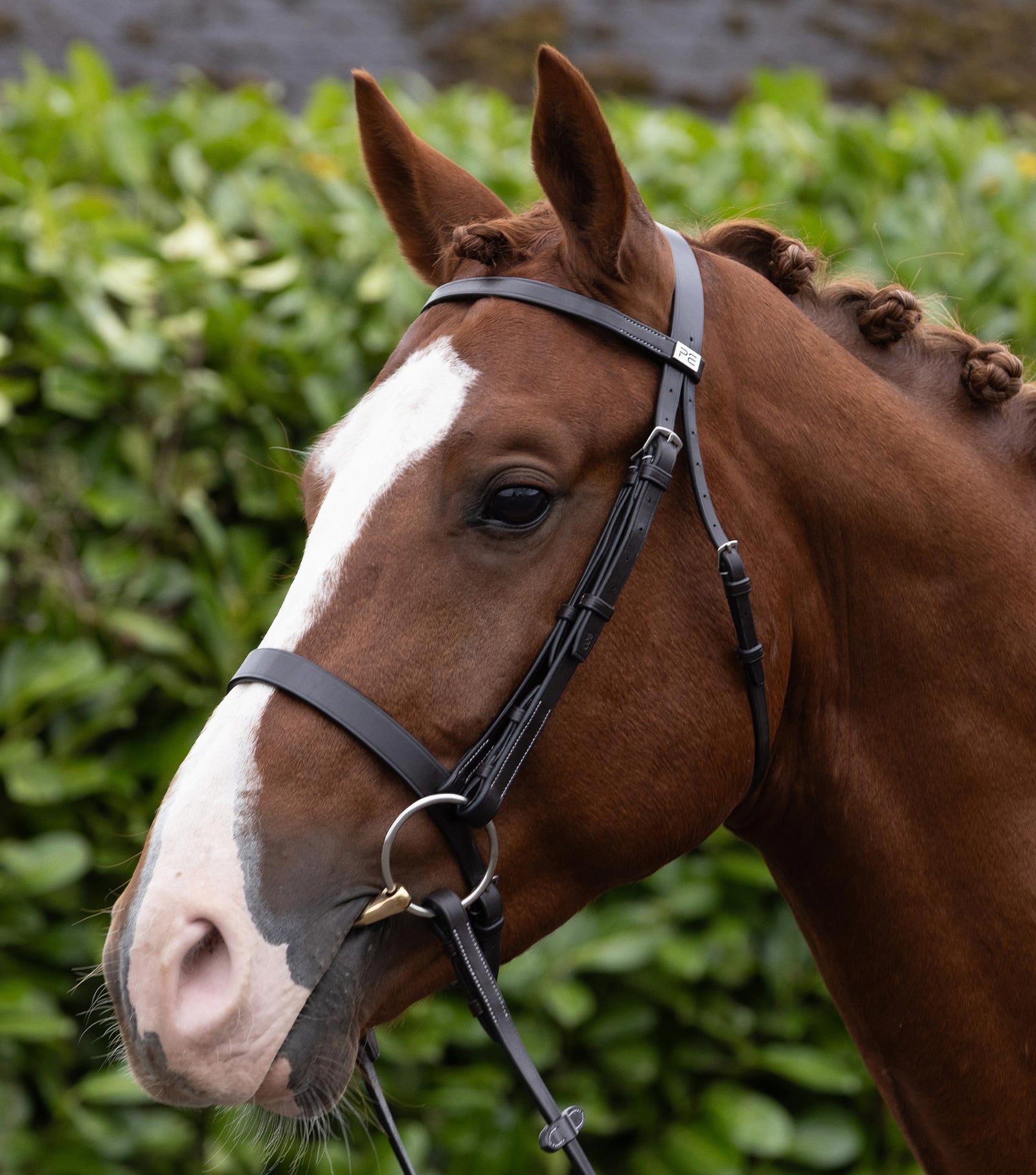 Premier Equine Hunter Bridle - Nags Essentials