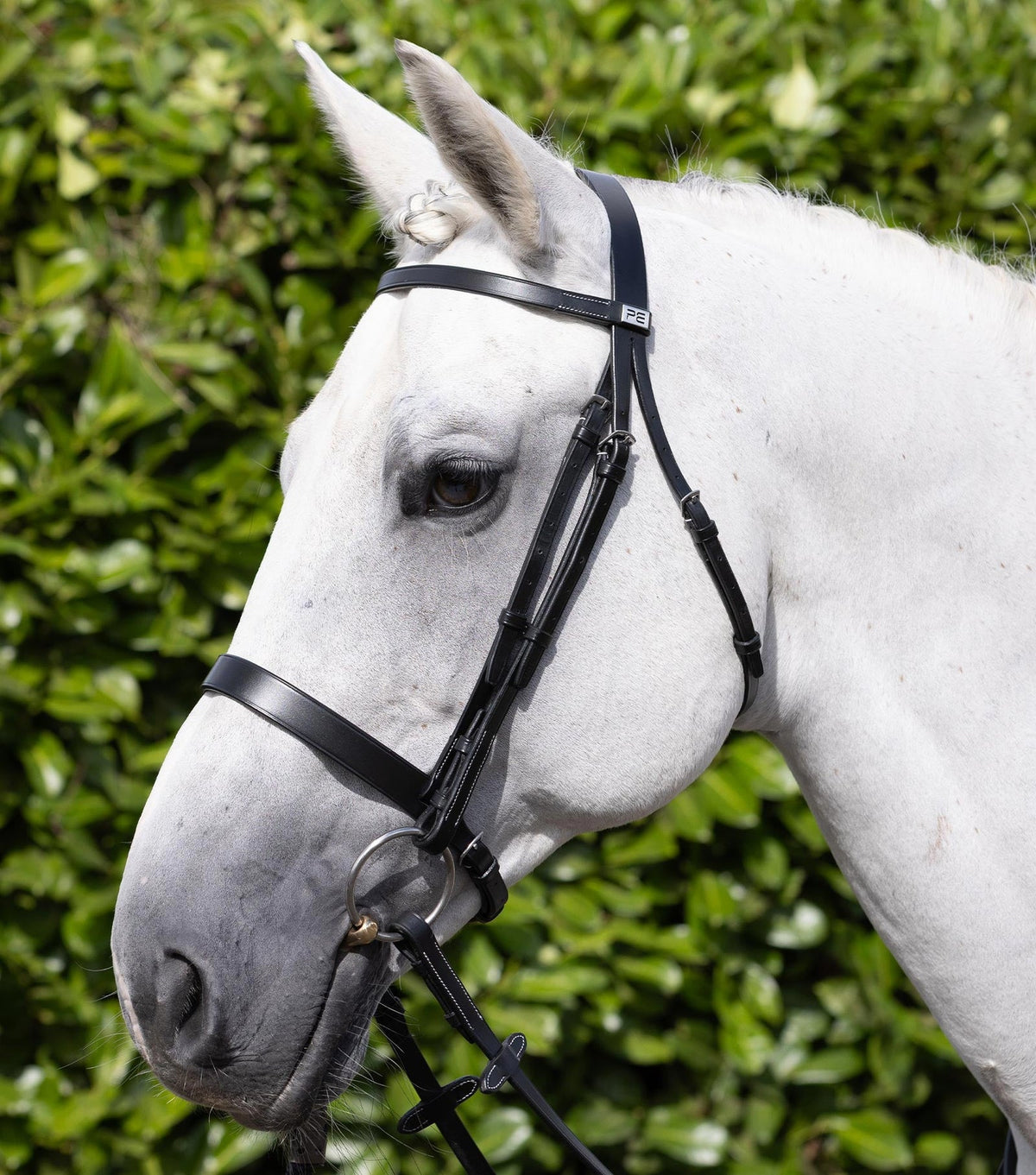 Premier Equine Hunter Bridle - Nags Essentials