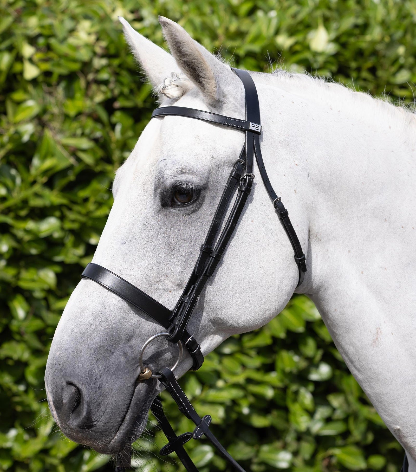 Premier Equine Hunter Bridle - Nags Essentials