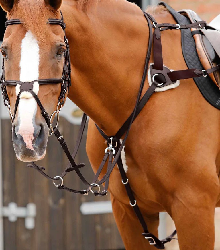 Premier Equine Invorio 5 Point Breastplate - Nags Essentials
