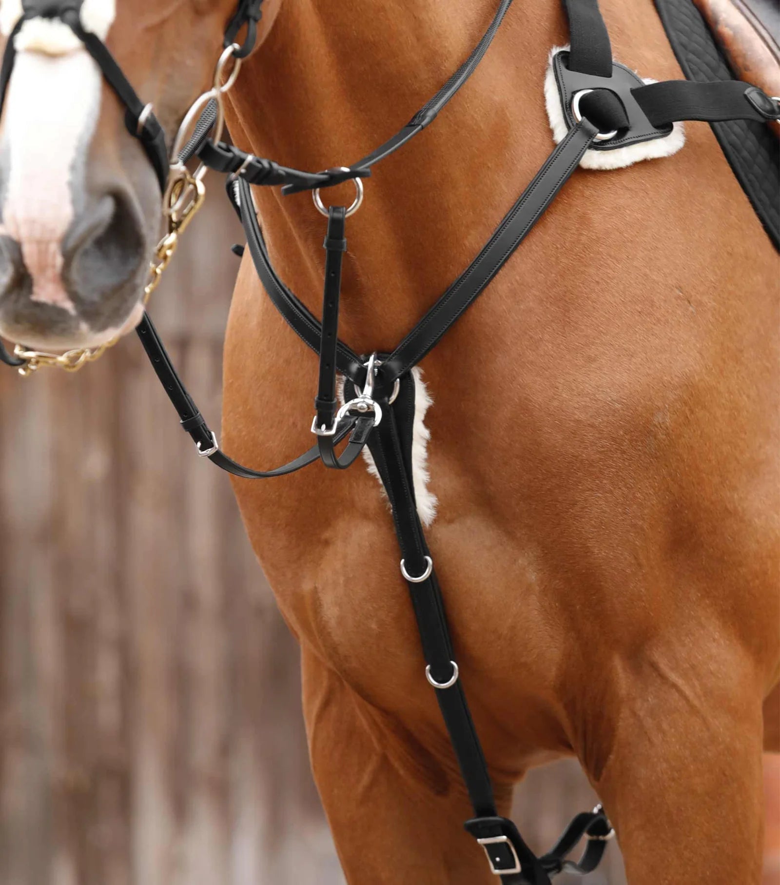 Premier Equine Invorio 5 Point Breastplate - Nags Essentials