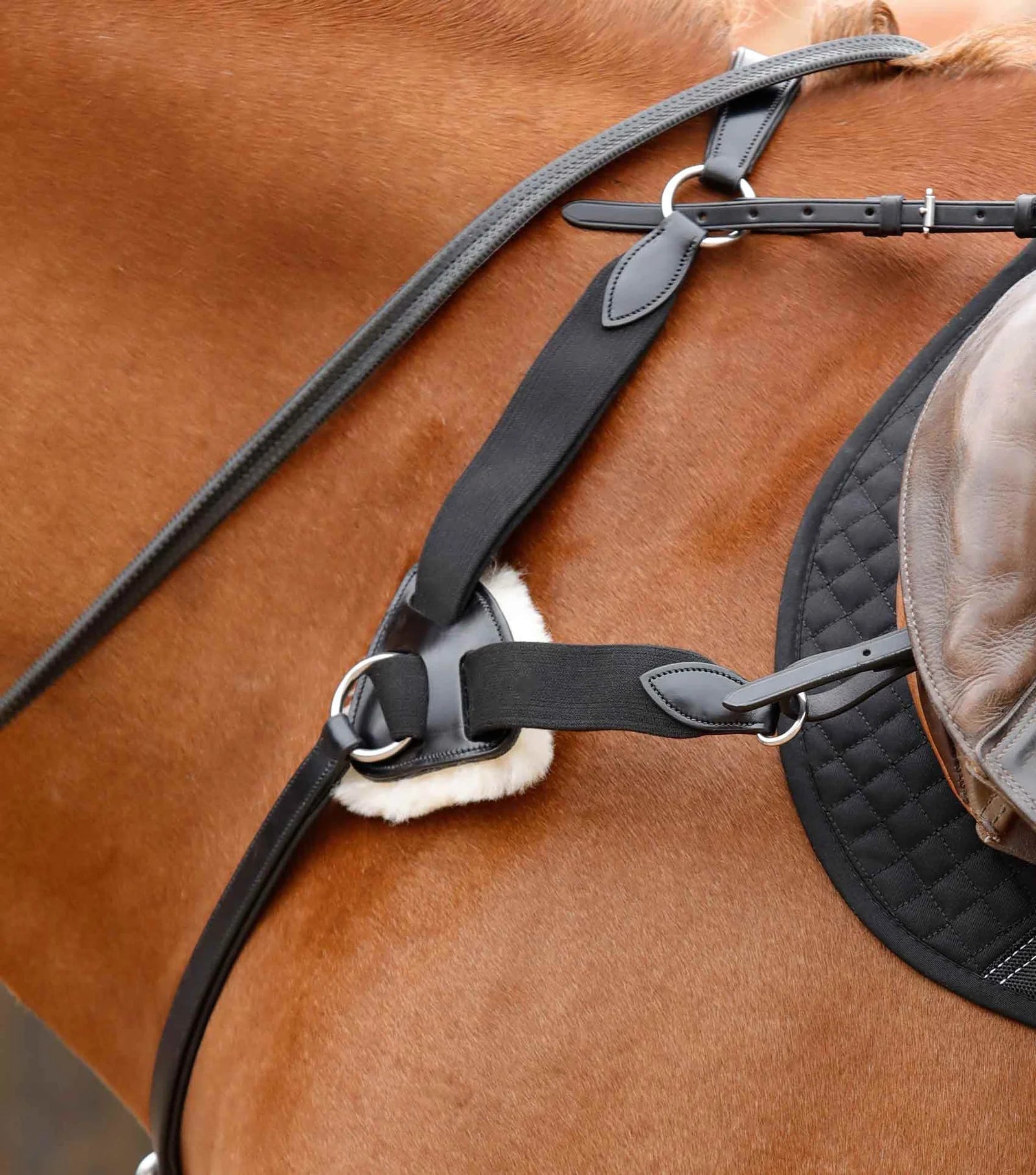 Premier Equine Invorio 5 Point Breastplate - Nags Essentials
