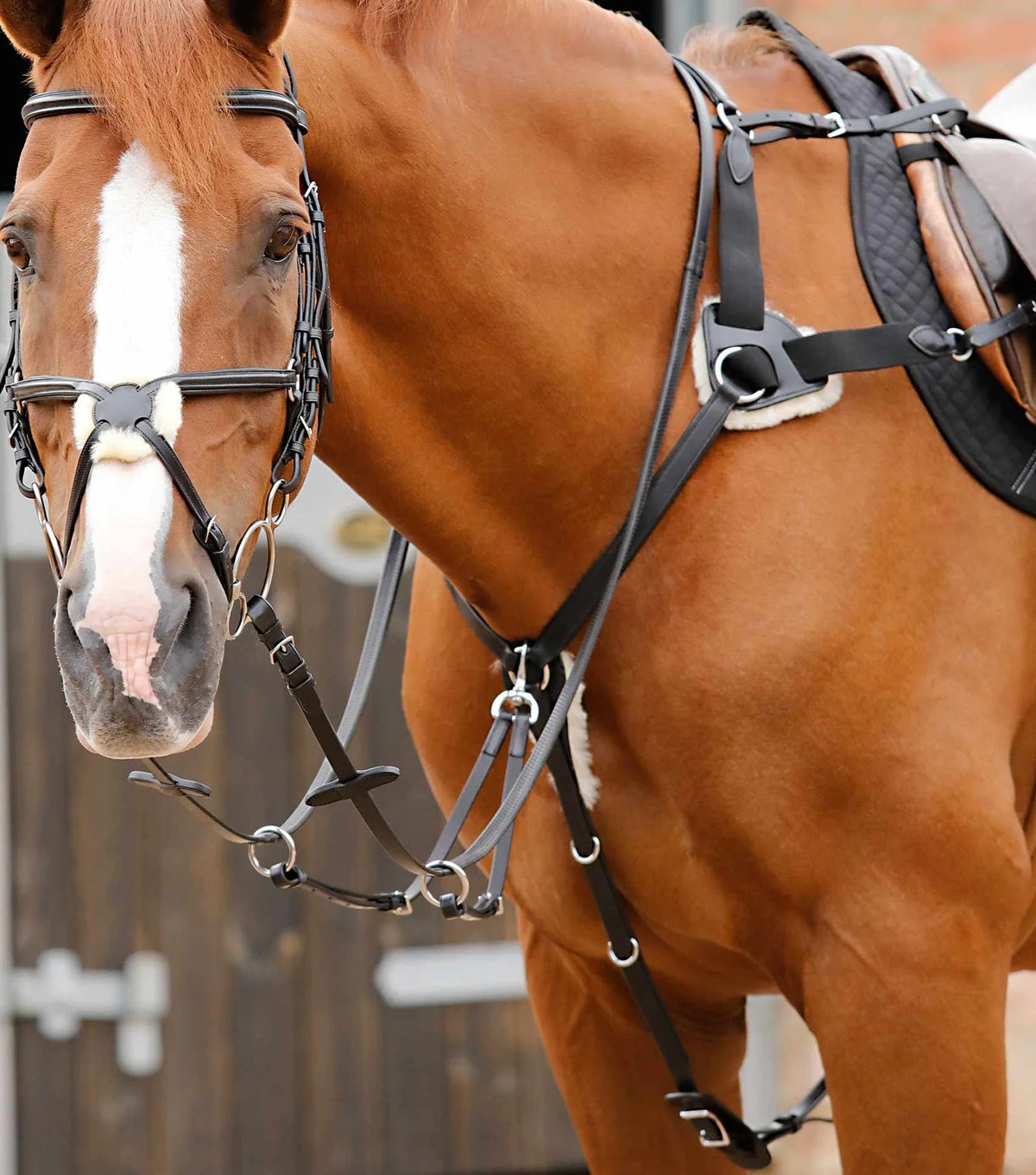 Premier Equine Invorio 5 Point Breastplate - Nags Essentials