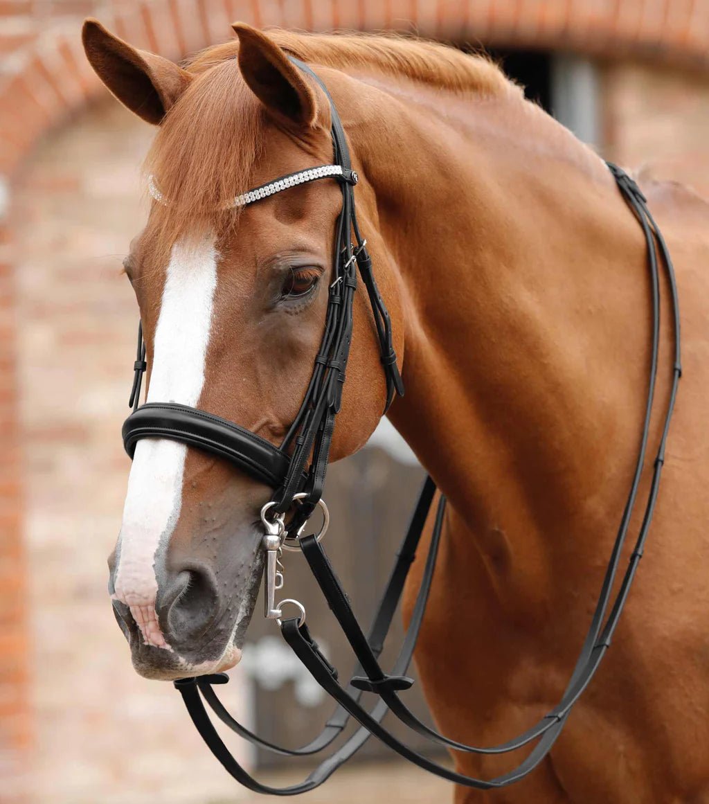 Premier Equine Leonardo Plain Leather Double Bridle Reins - Nags Essentials