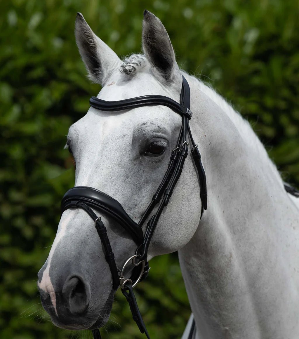 Premier Equine Liscio Plain Shaped Leather Browband - Nags Essentials