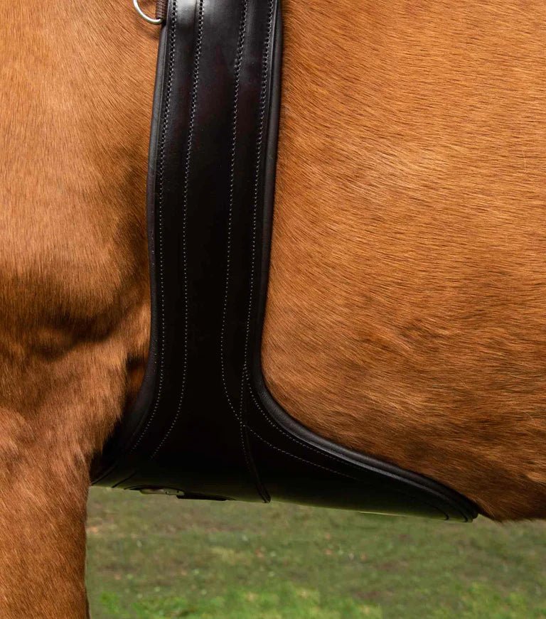 Premier Equine Lizzano Anatomic Leather Stud Girth - Nags Essentials