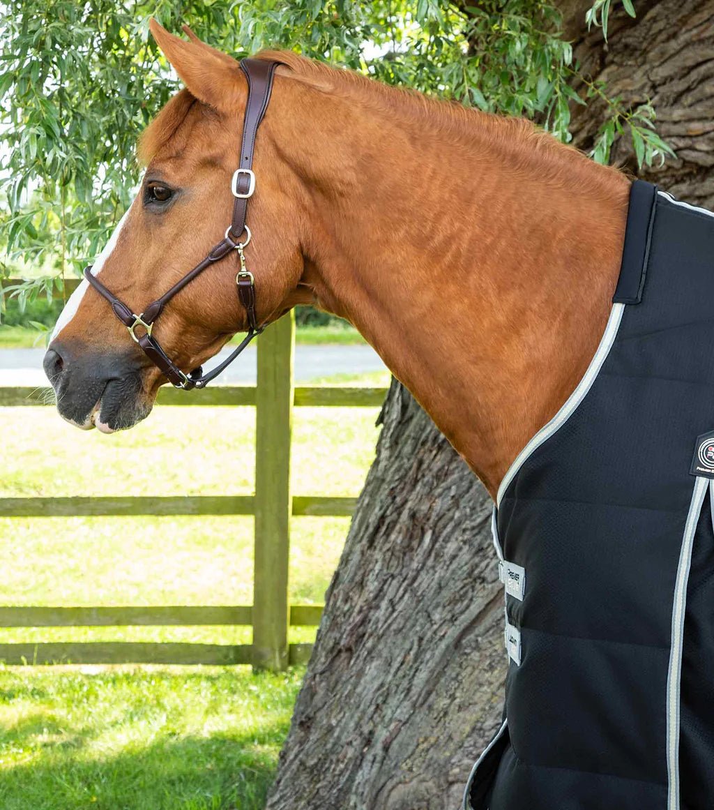 Premier Equine Lucanta Demi 100g Stable Rug - Black - Nags Essentials