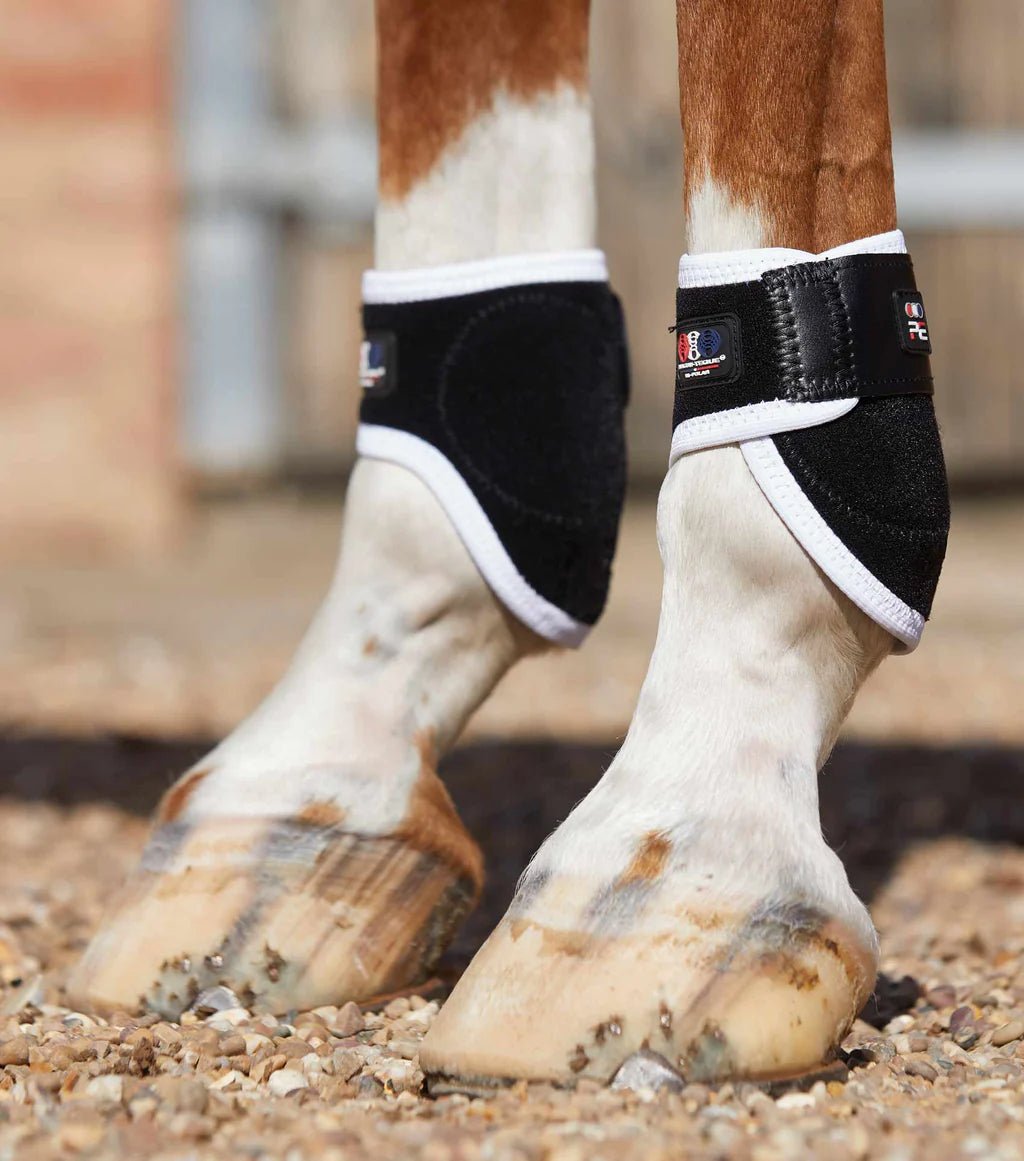 Premier Equine Magni-Teque Fetlock Boots - Nags Essentials