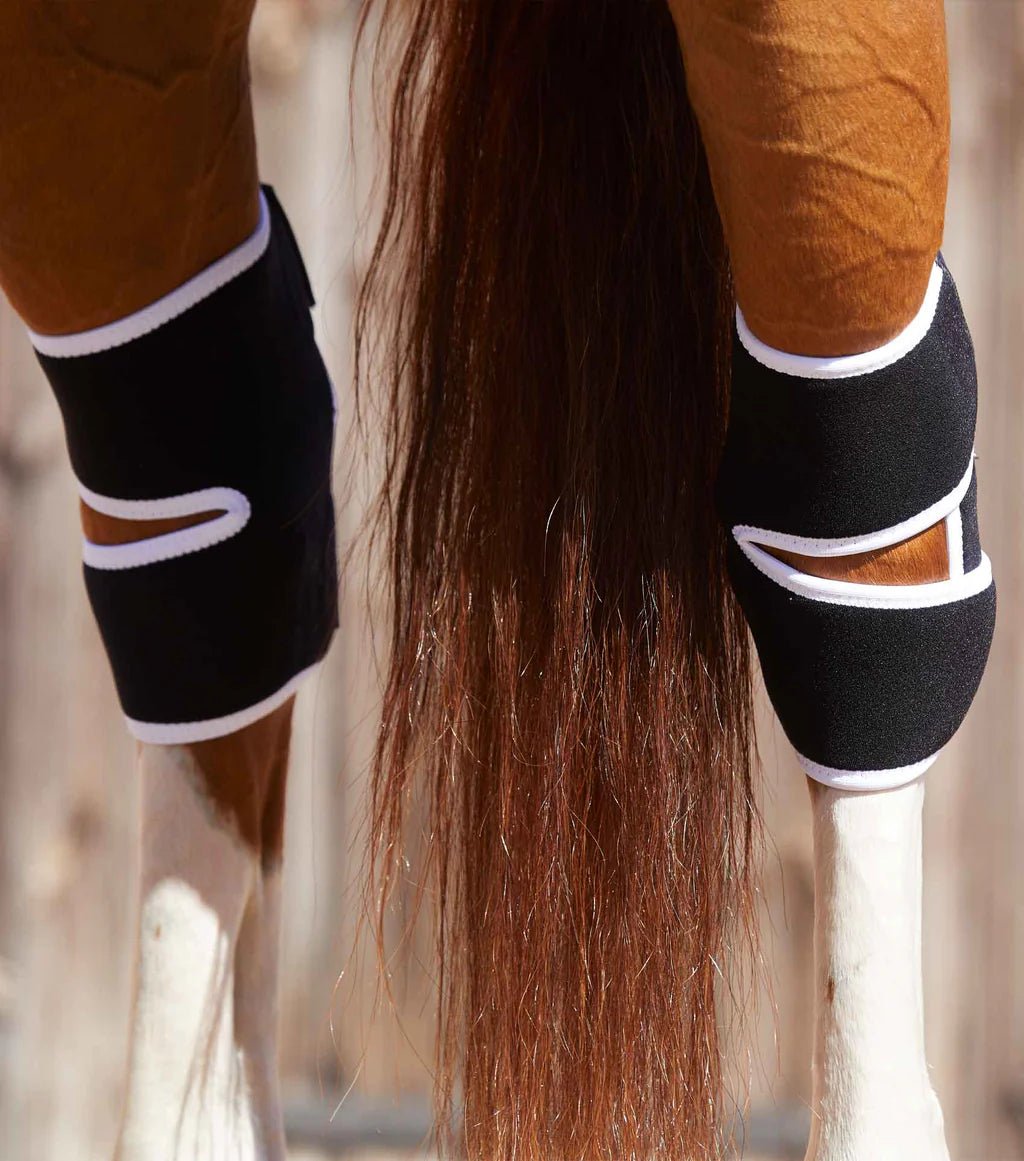 Premier Equine Magni-Teque Hock Boot - Nags Essentials