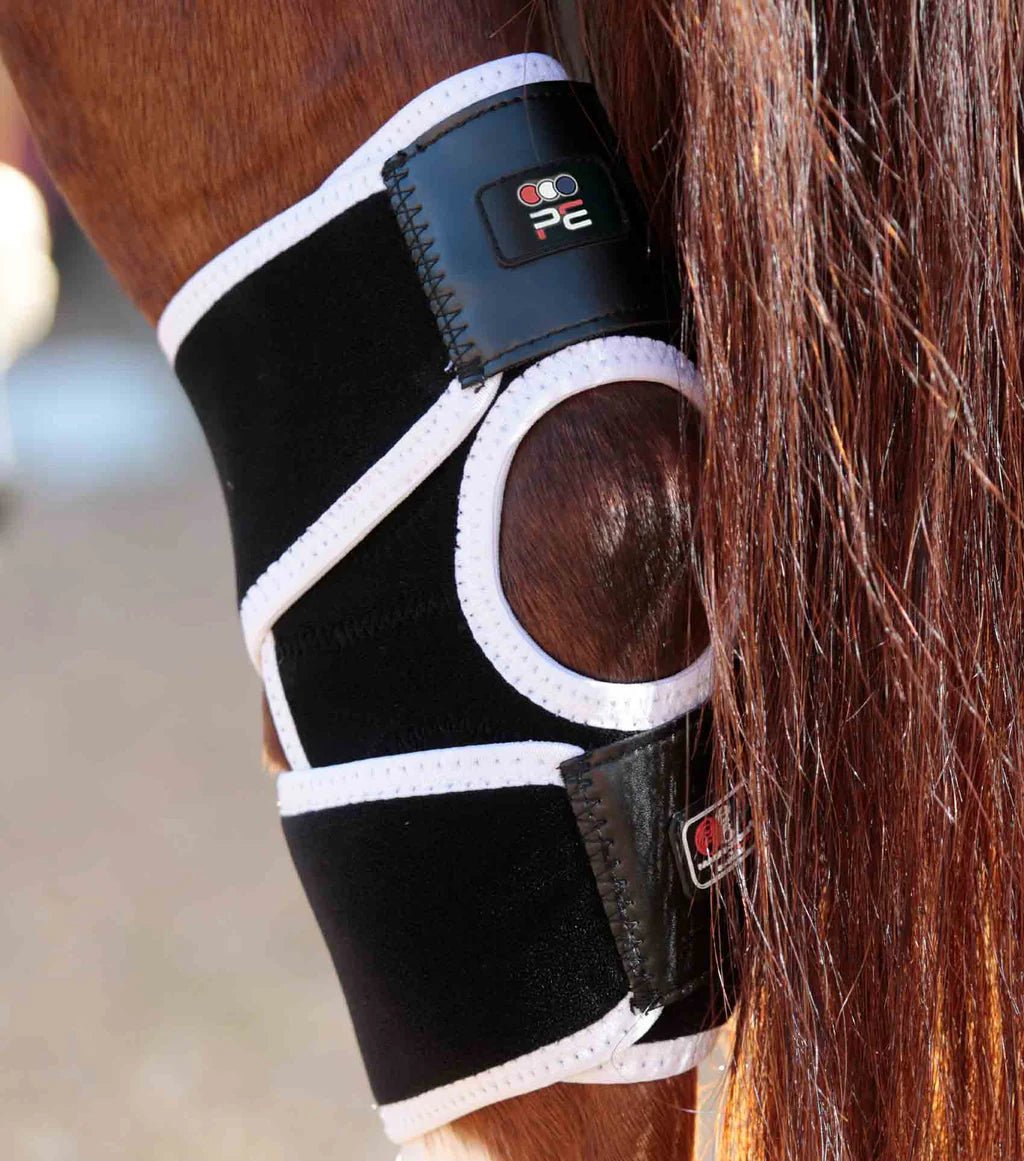 Premier Equine Magni-Teque Hock Boot - Nags Essentials