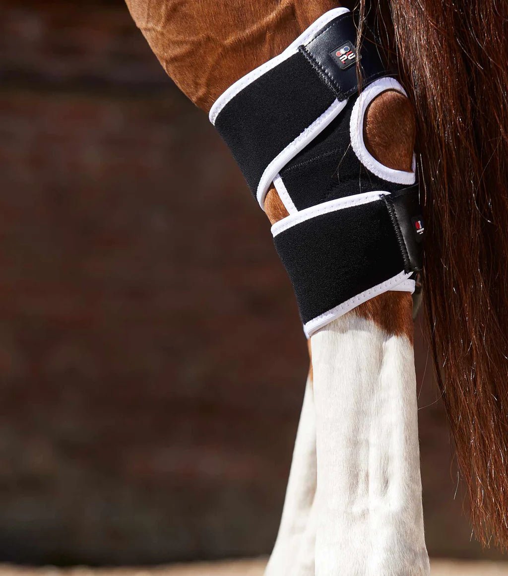 Premier Equine Magni-Teque Hock Boot - Nags Essentials