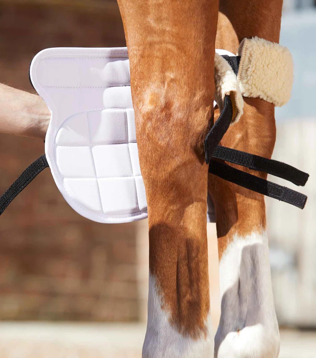 Premier Equine Magni-Teque Knee Boots - Nags Essentials