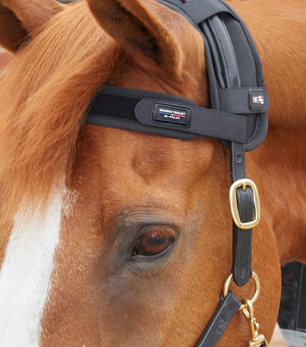 Premier Equine Magni-Teque Magnetic Browband - Nags Essentials