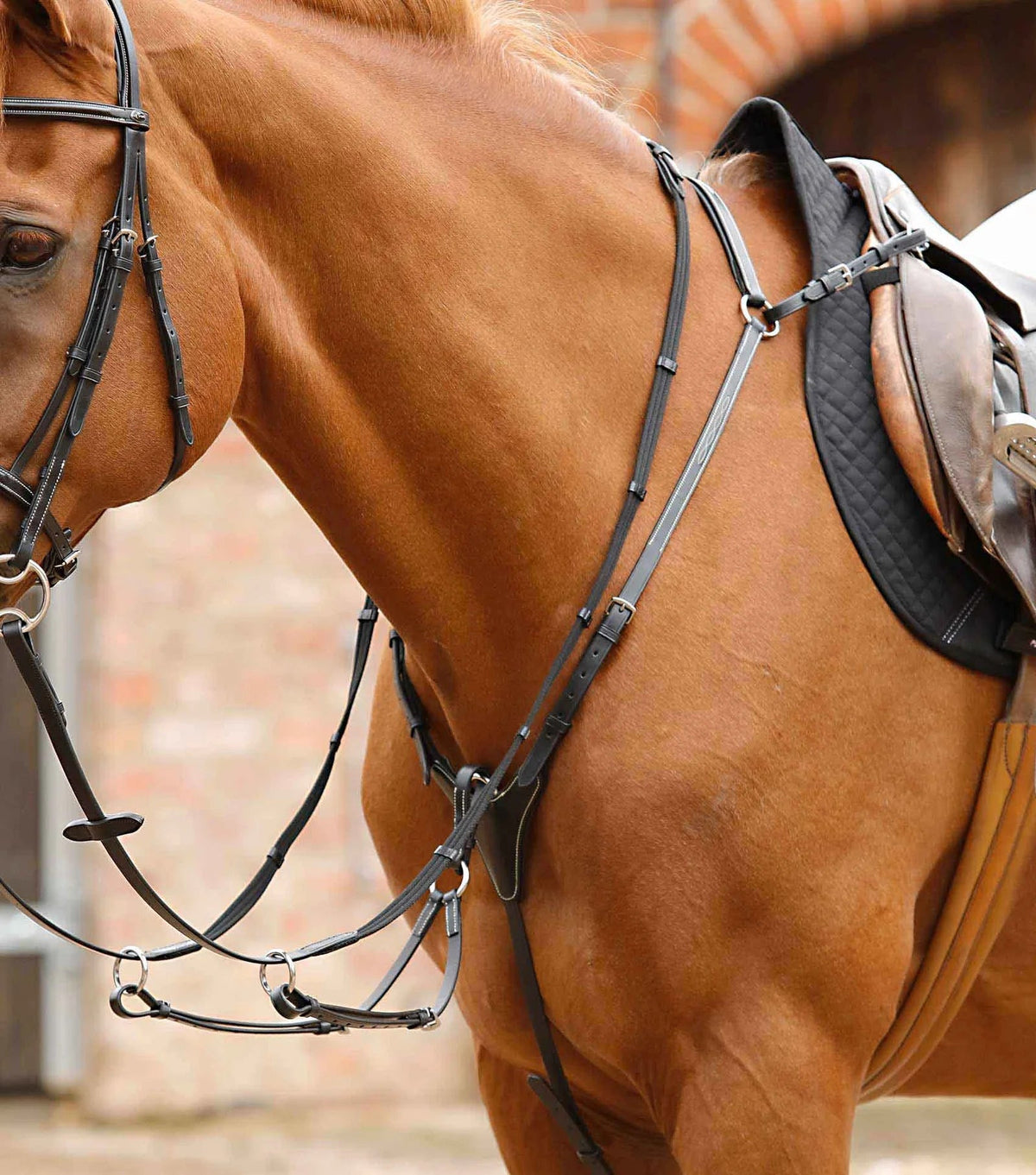 Premier Equine Norbello Hunter Breastplate - Nags Essentials