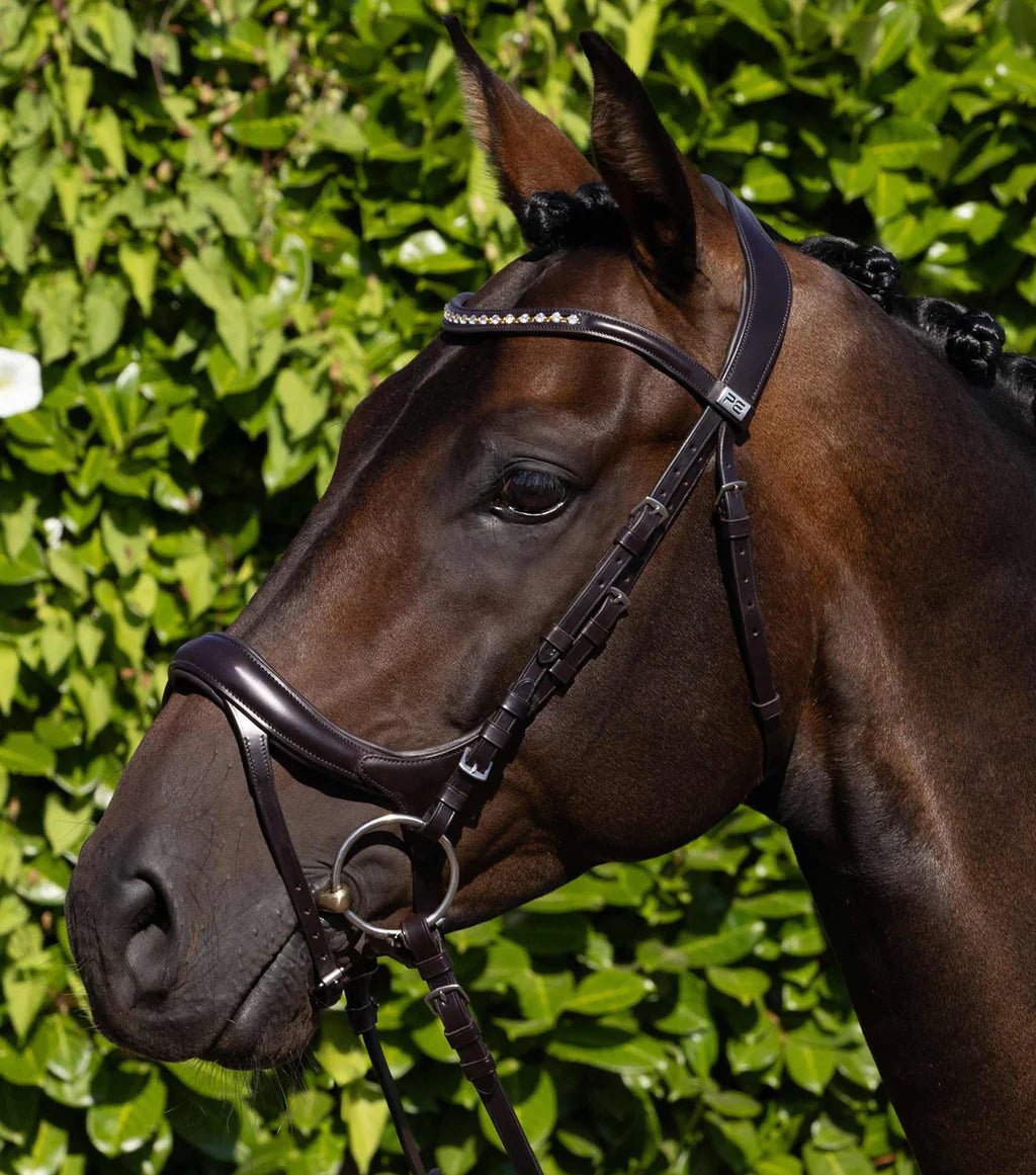 Premier Equine Palazzo Anatomical Bridle - Nags Essentials