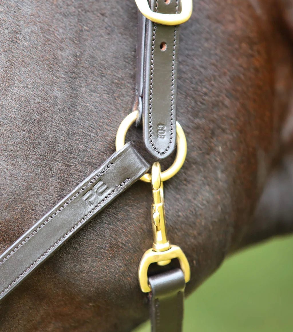 Premier Equine Pasco Plain Leather Head Collar Brown - Nags Essentials