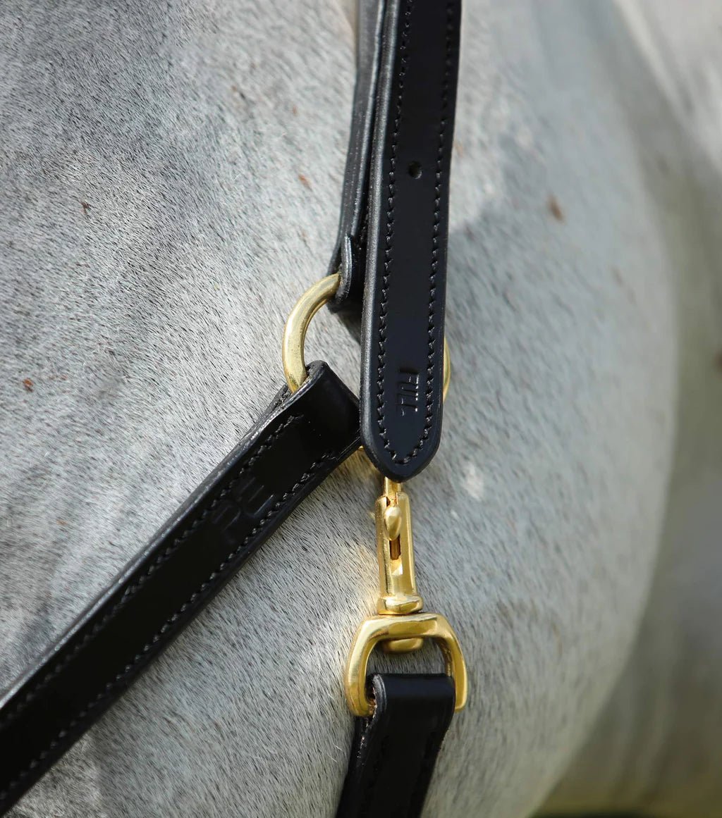 Premier Equine Pasco Plain Leather Head Collar Brown - Nags Essentials