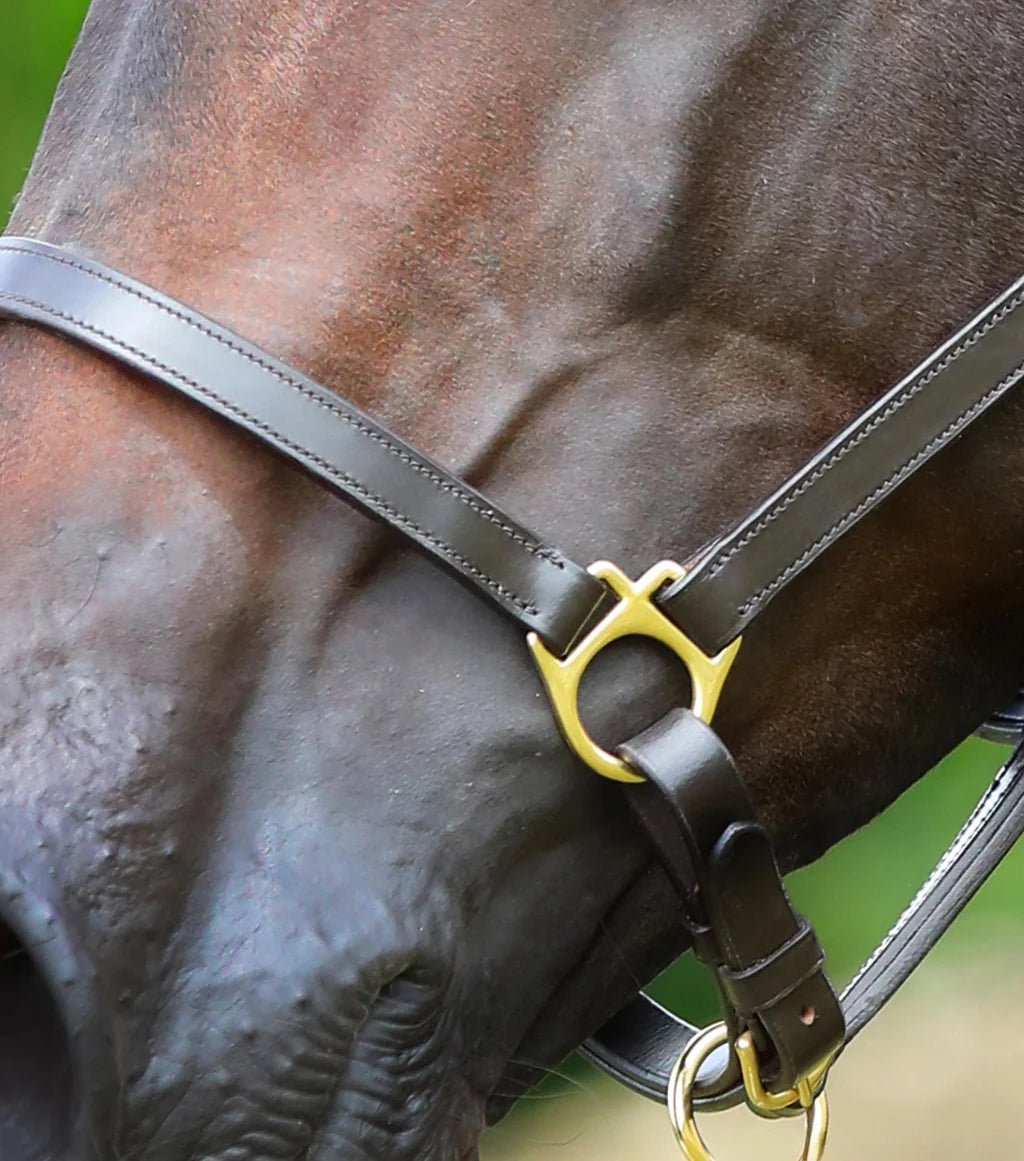 Premier Equine Pasco Plain Leather Head Collar Brown - Nags Essentials