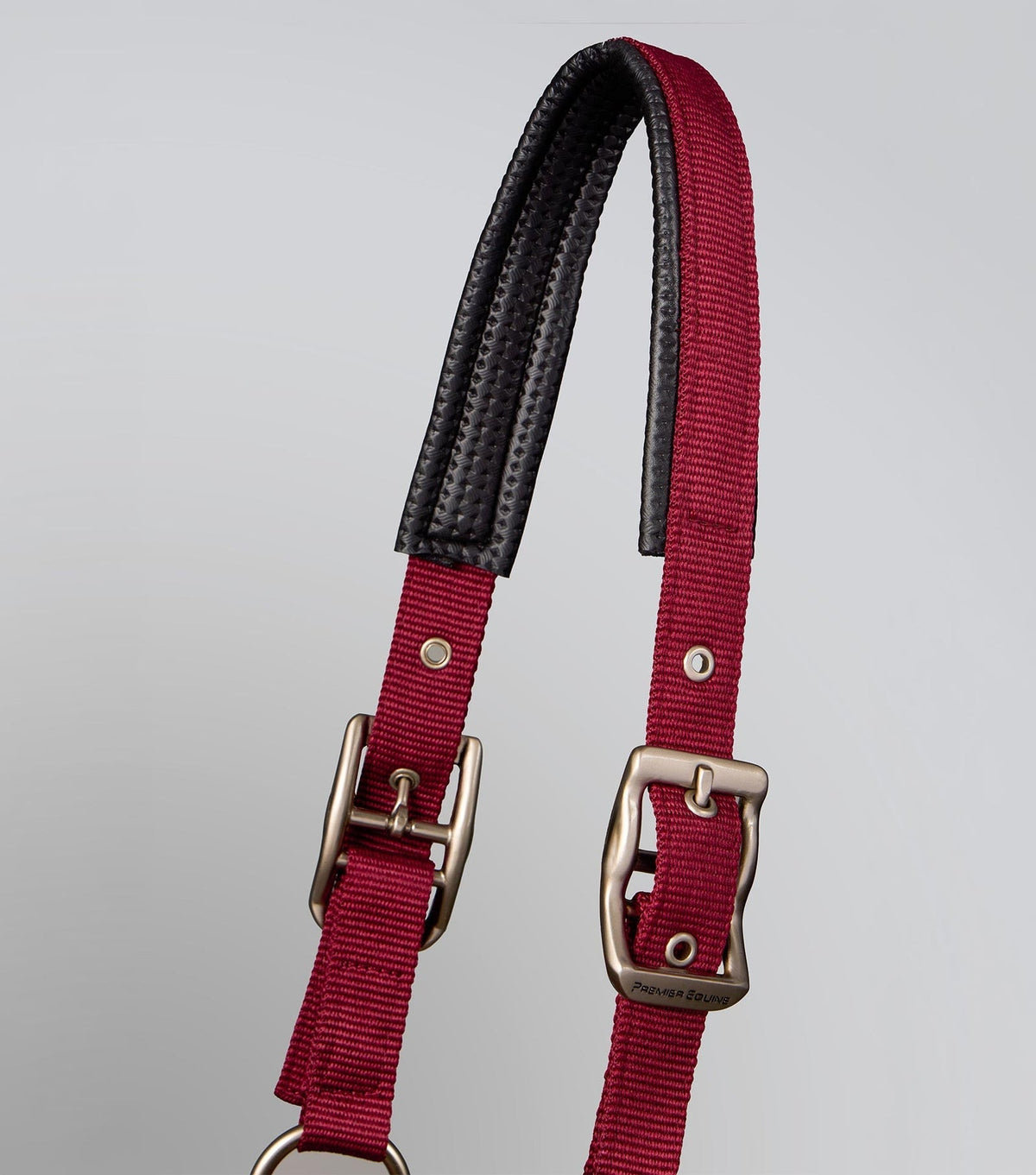 Premier Equine Plain Padded Head Collar with Lead Rope - Nags Essentials