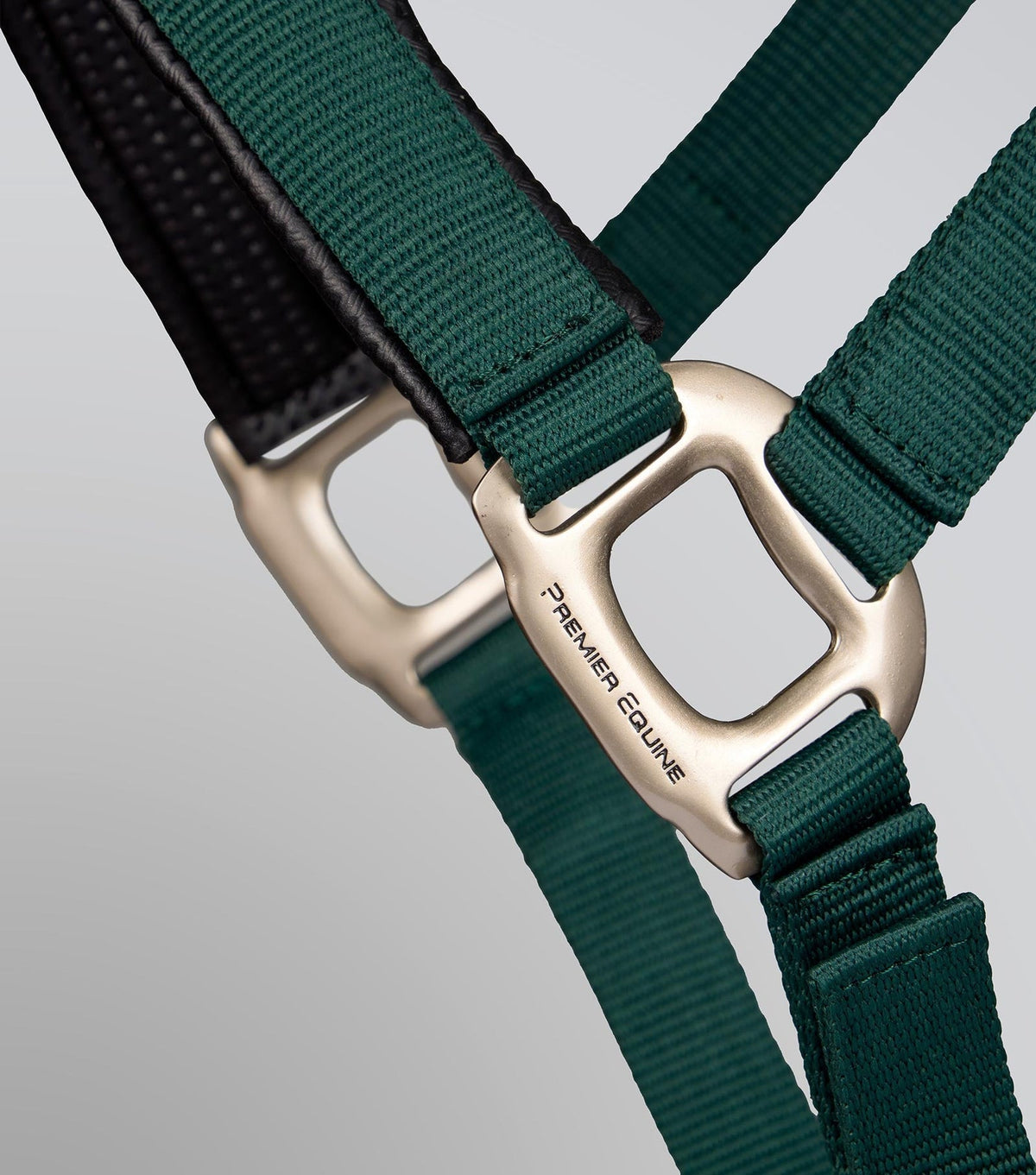 Premier Equine Plain Padded Head Collar with Lead Rope - Nags Essentials