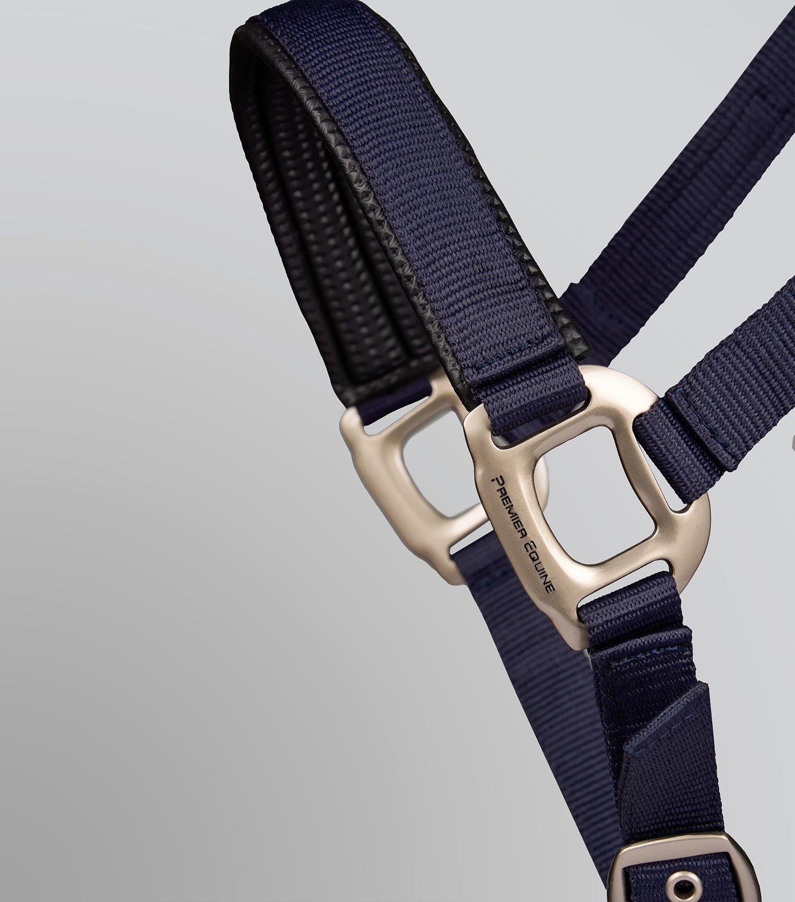 Premier Equine Plain Padded Head Collar with Lead Rope - Nags Essentials